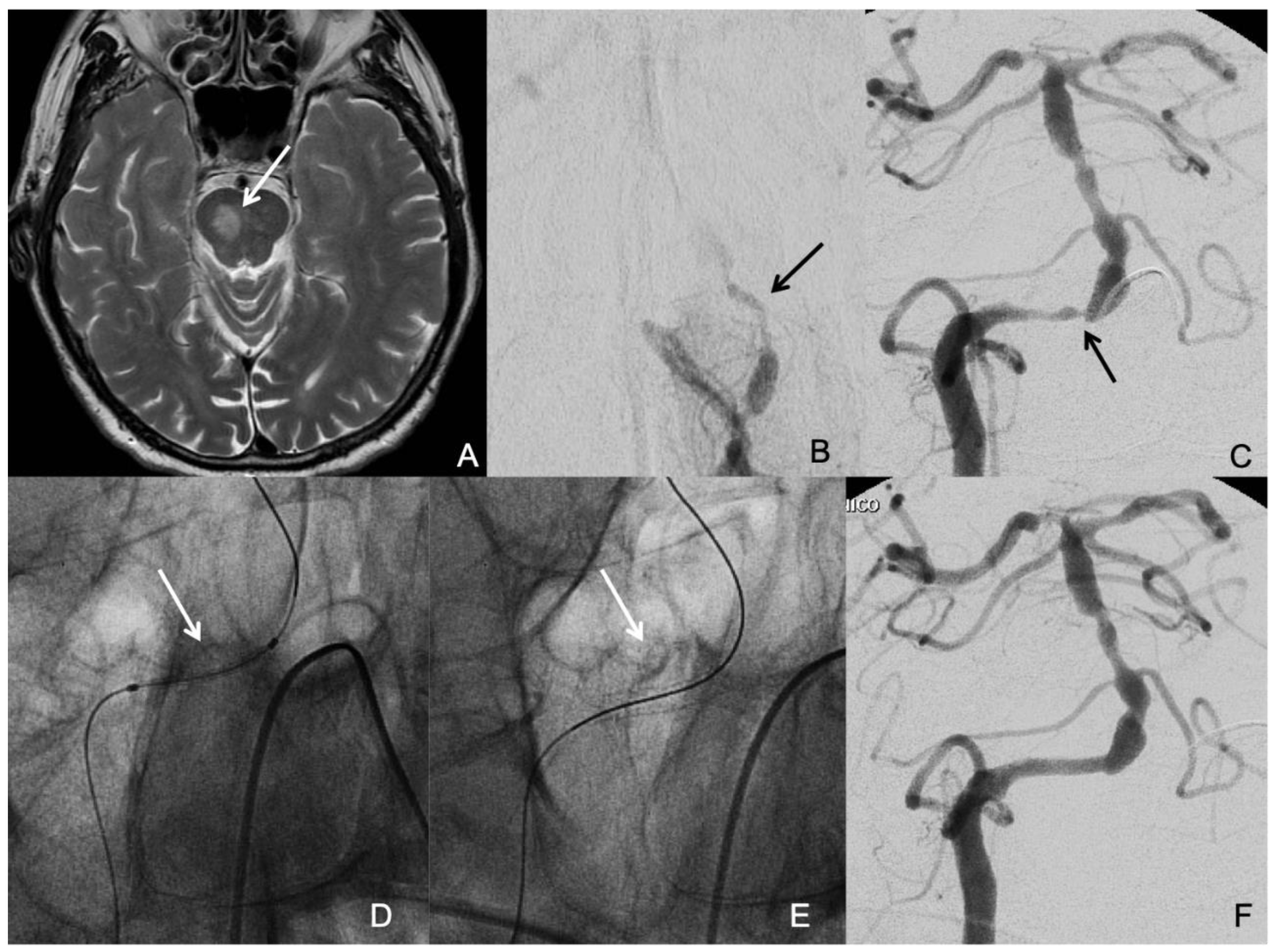 Preprints 139776 g001