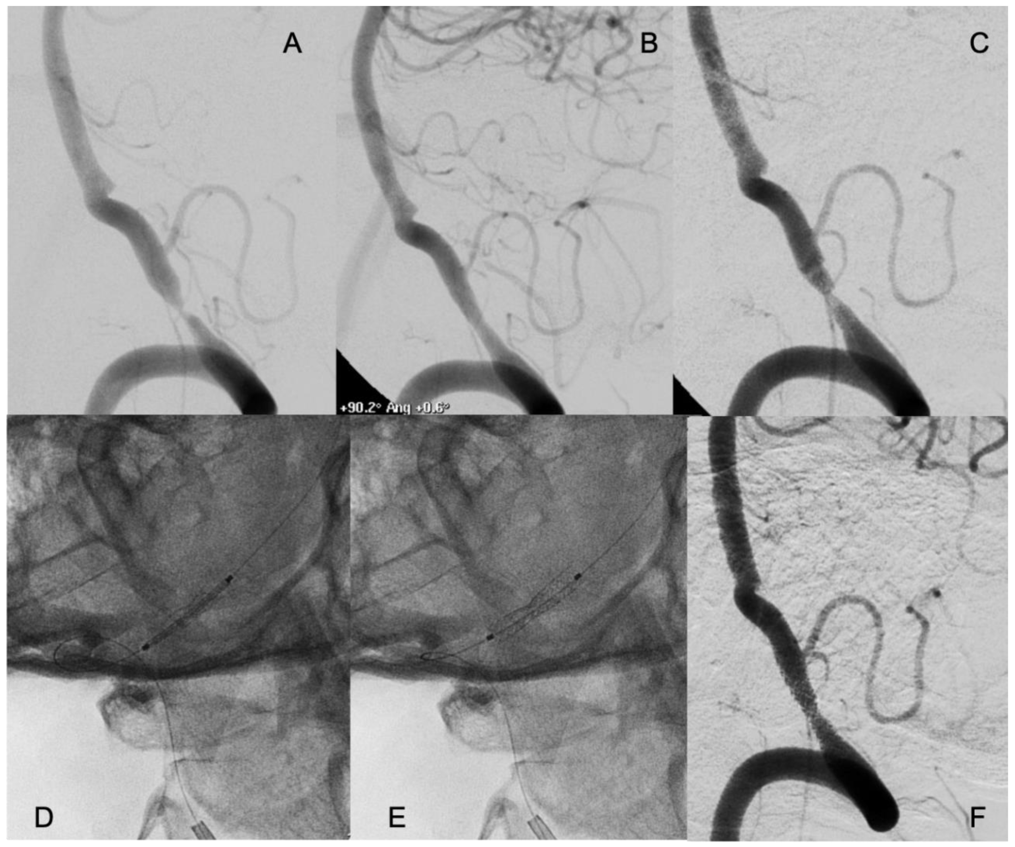 Preprints 139776 g002