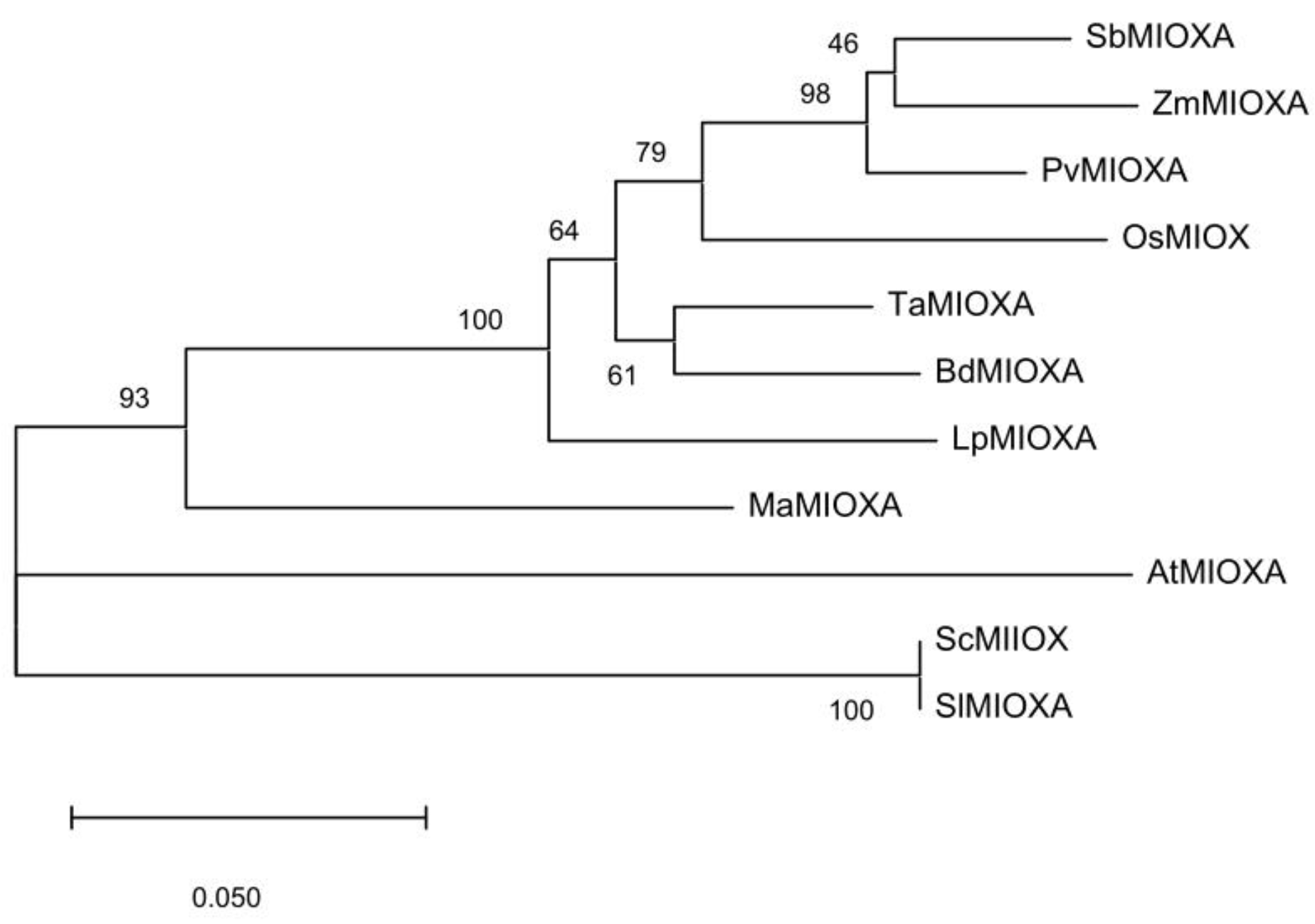 Preprints 180015 g001