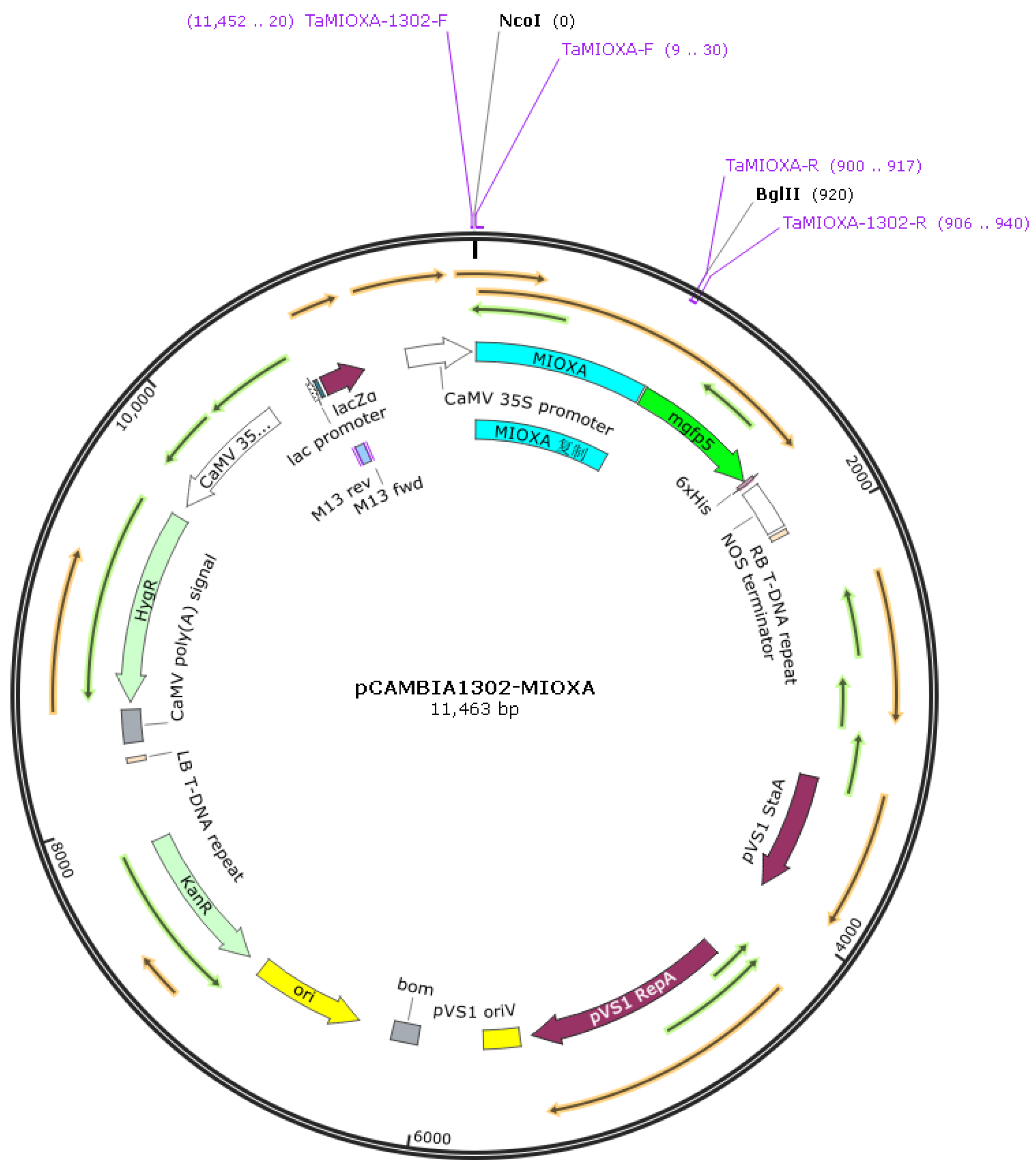 Preprints 180015 g003