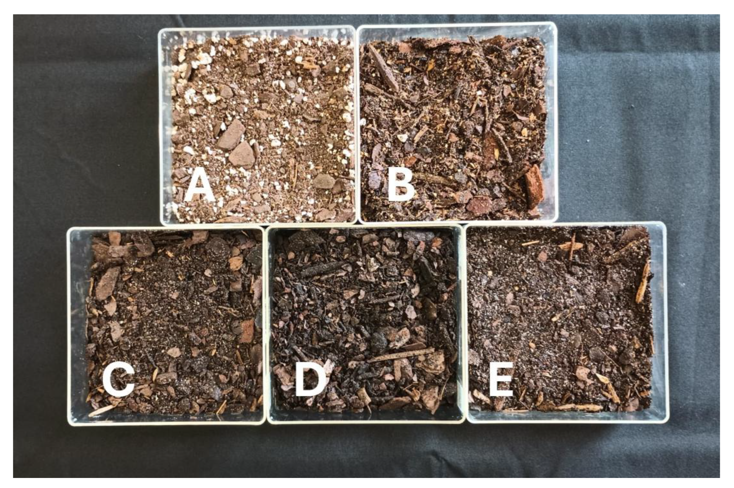 Preprints 169463 g001