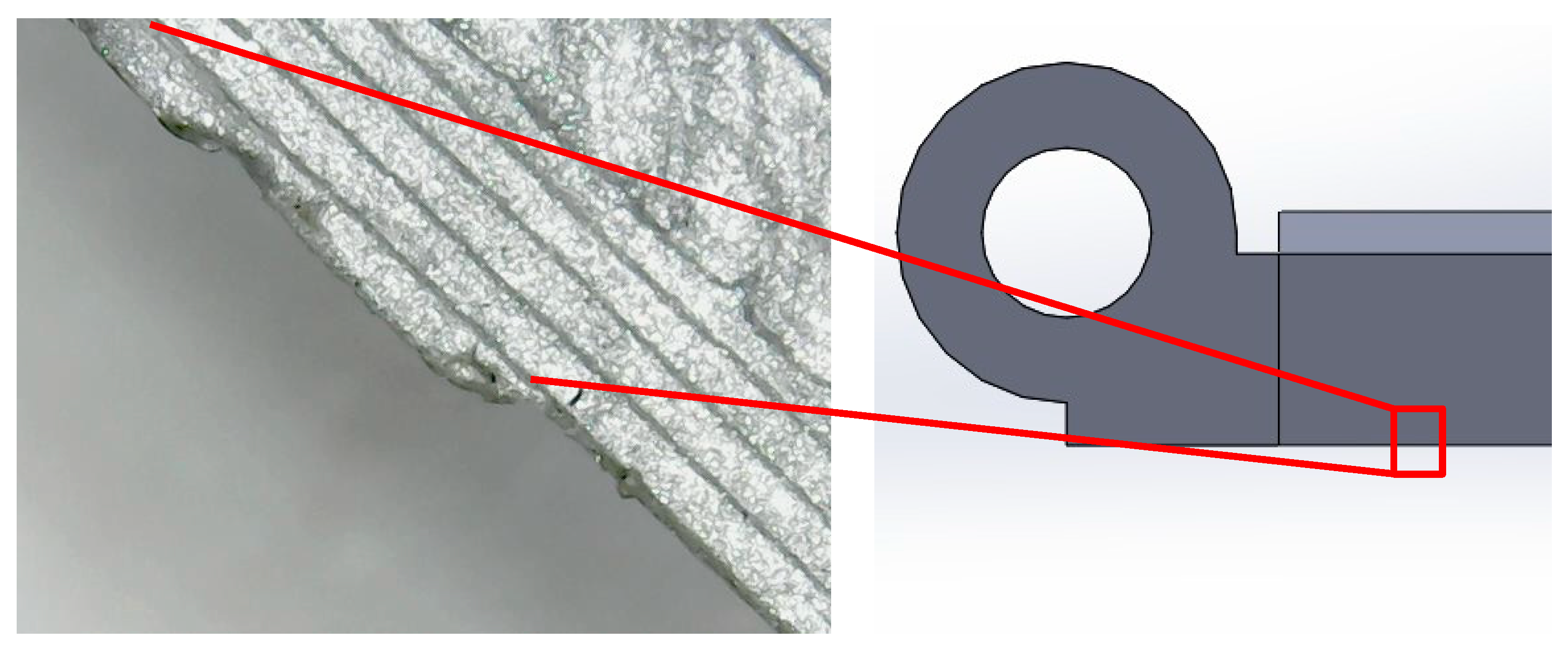 Preprints 162233 g005