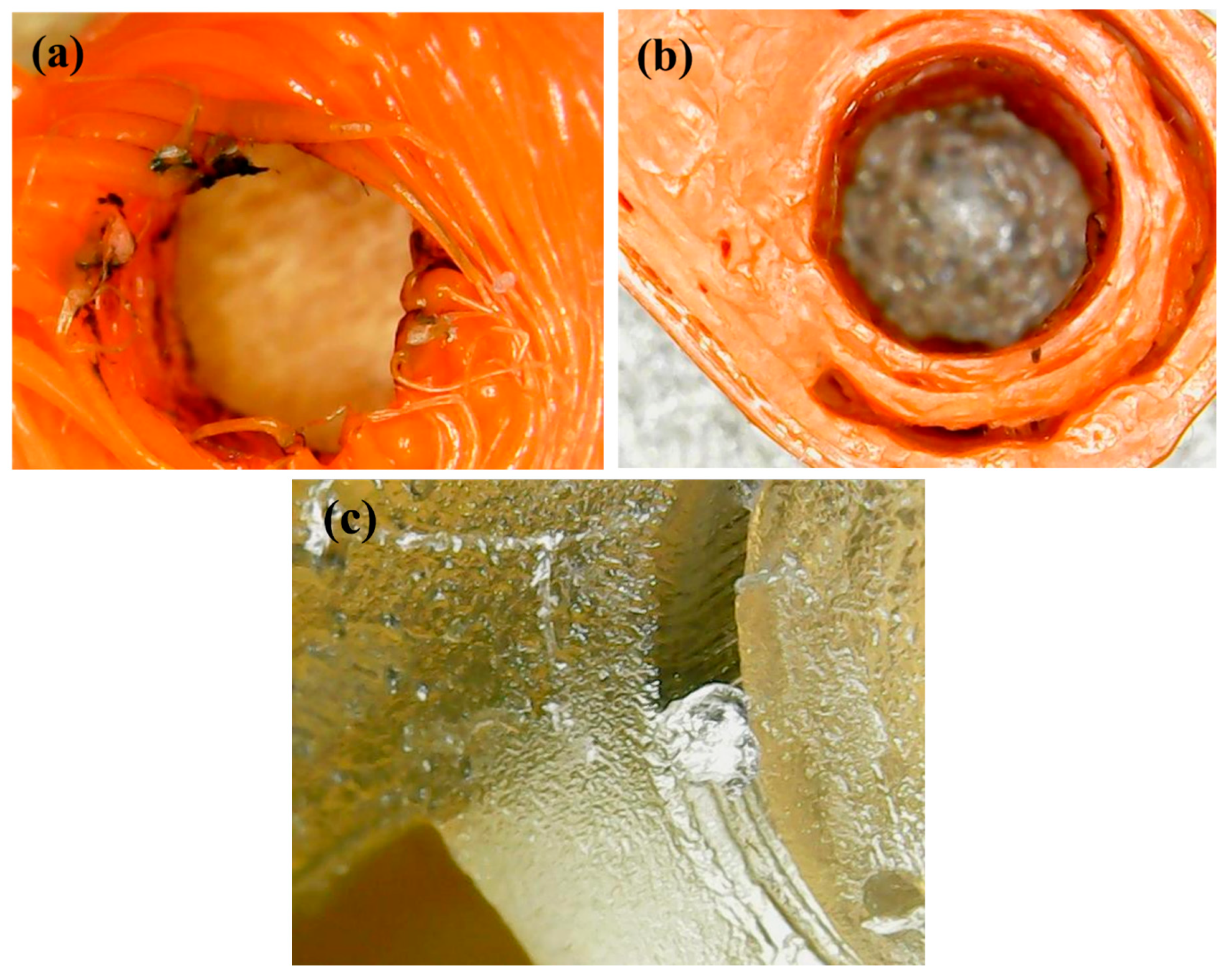 Preprints 162233 g015