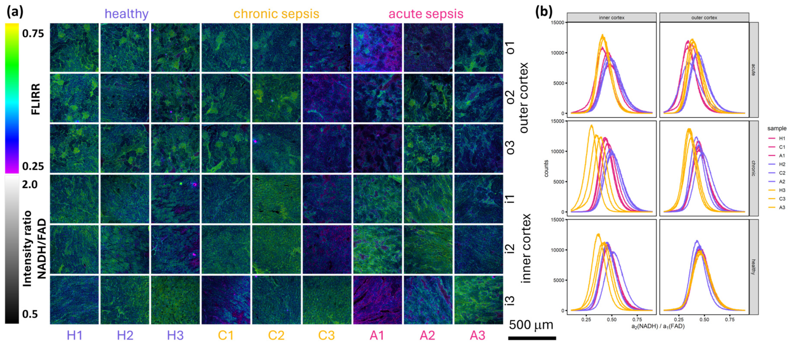 Preprints 142981 g003