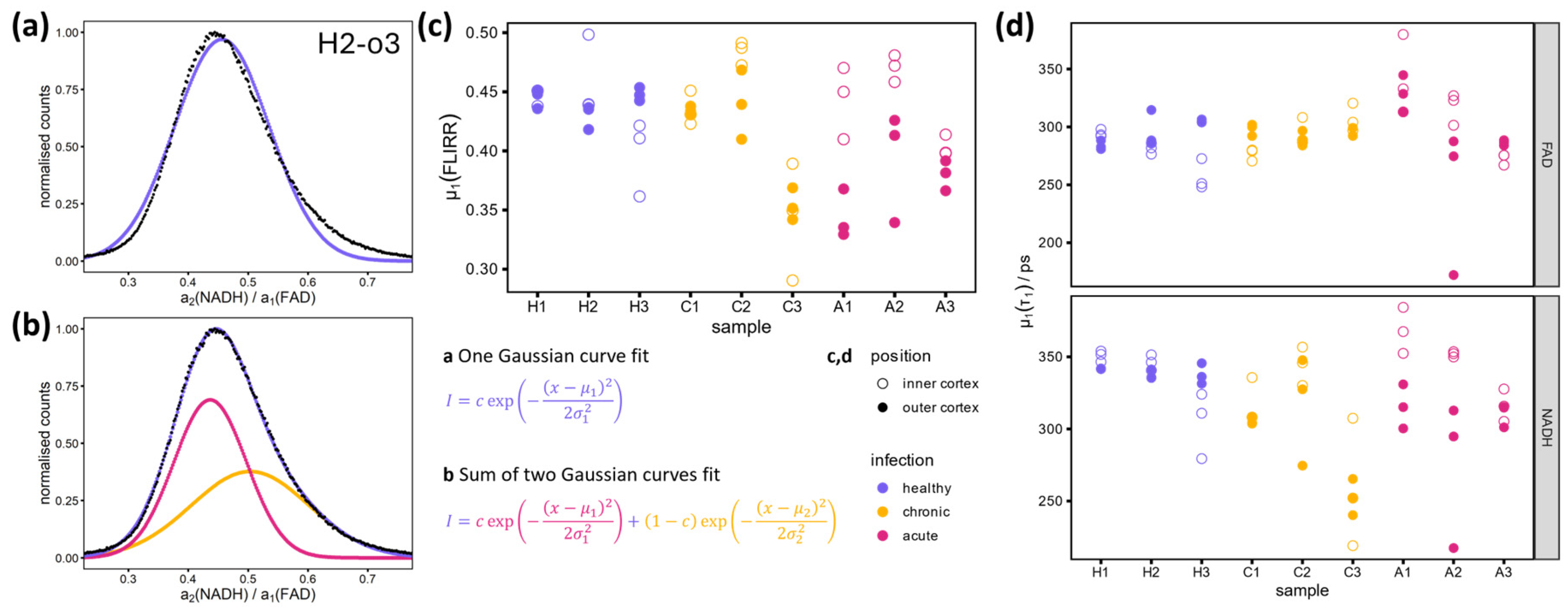 Preprints 142981 g004