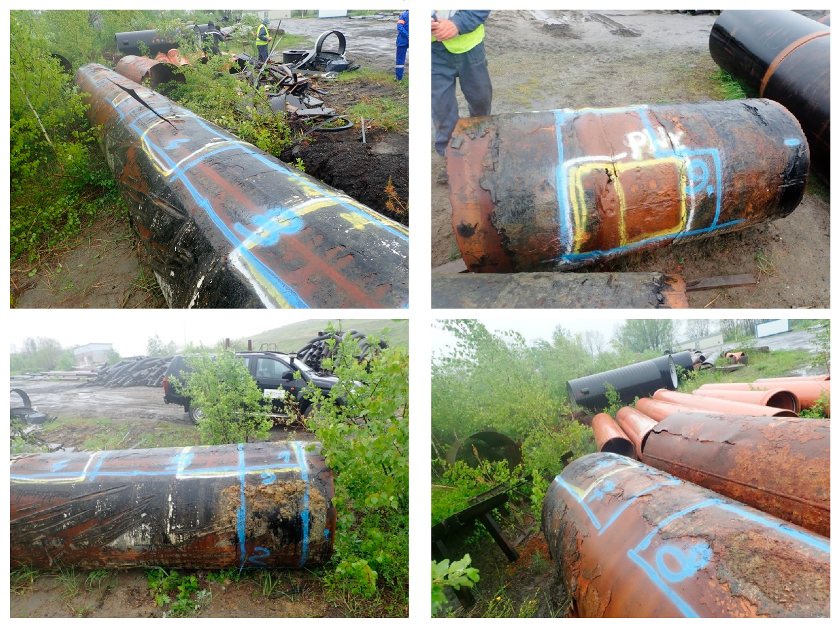 Preprints 141514 g001