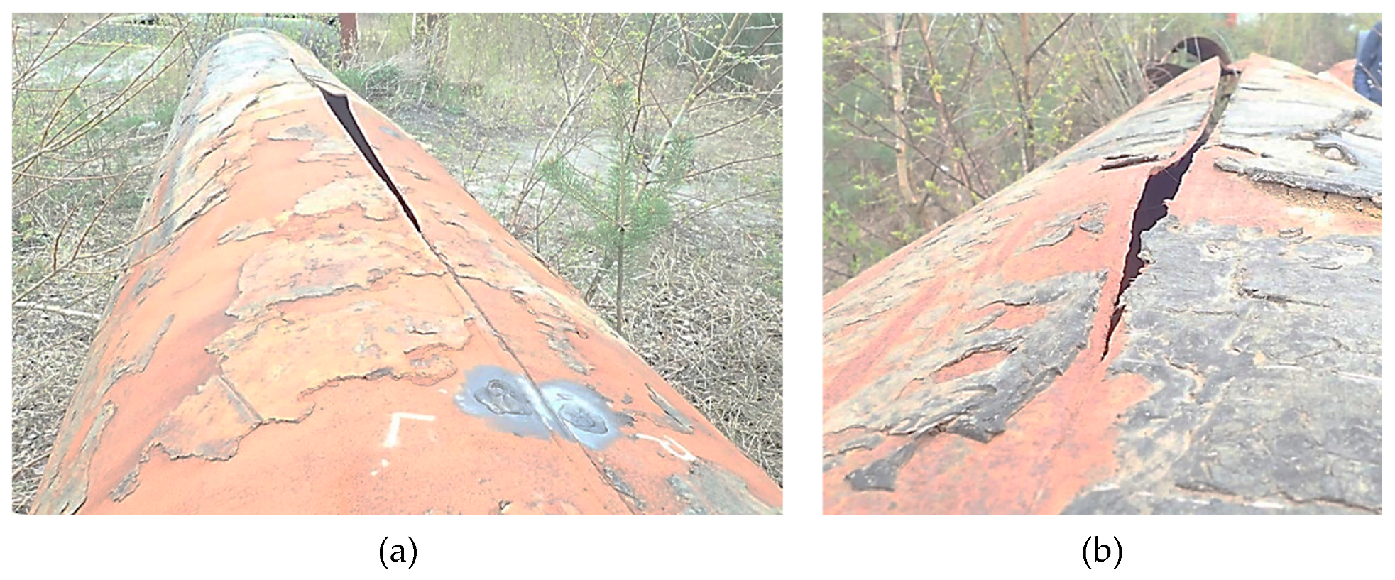 Preprints 141514 g002