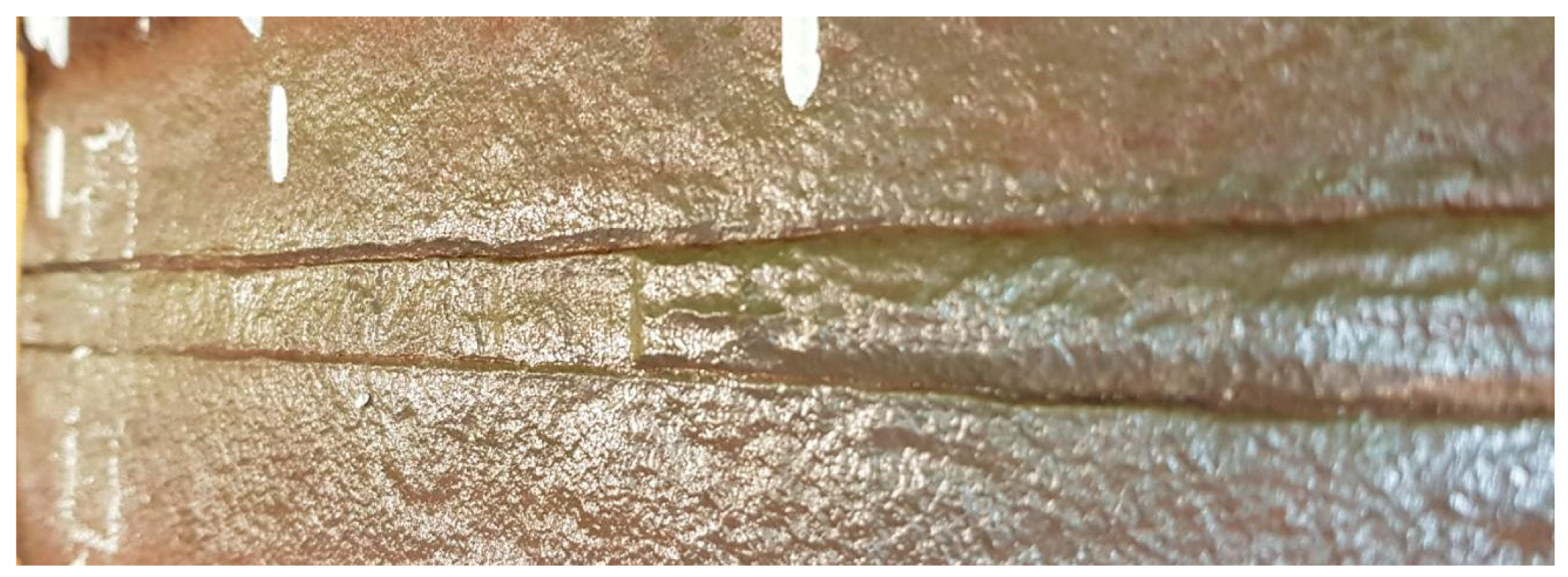 Preprints 141514 g006