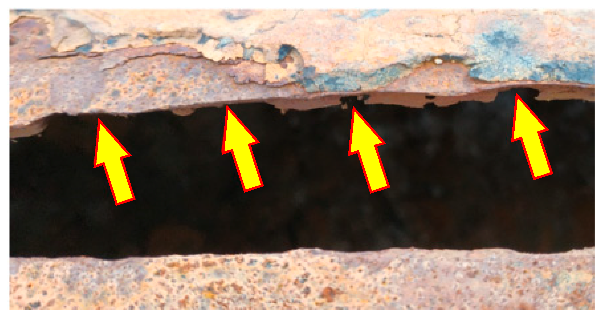 Preprints 141514 g009