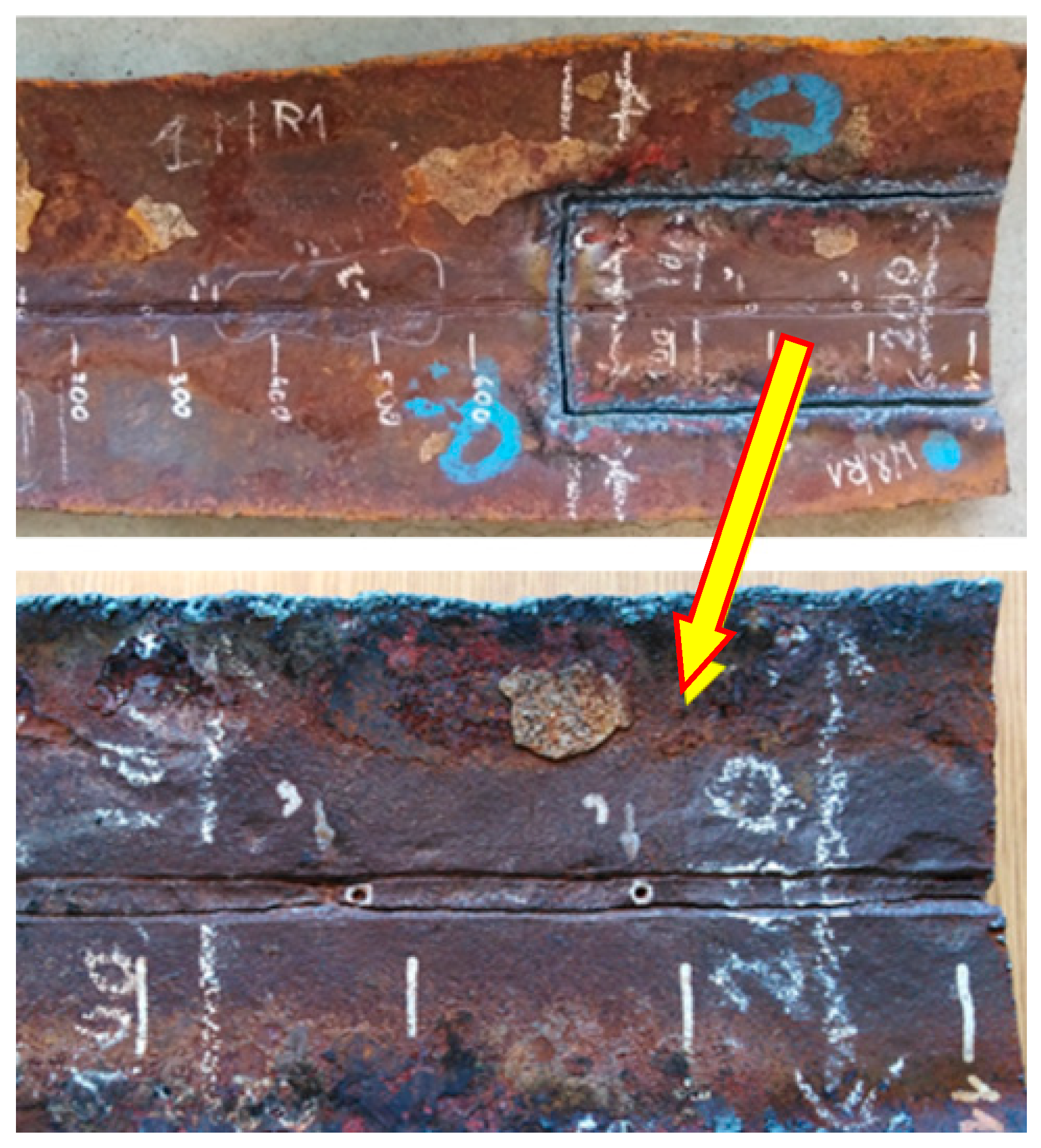 Preprints 141514 g010