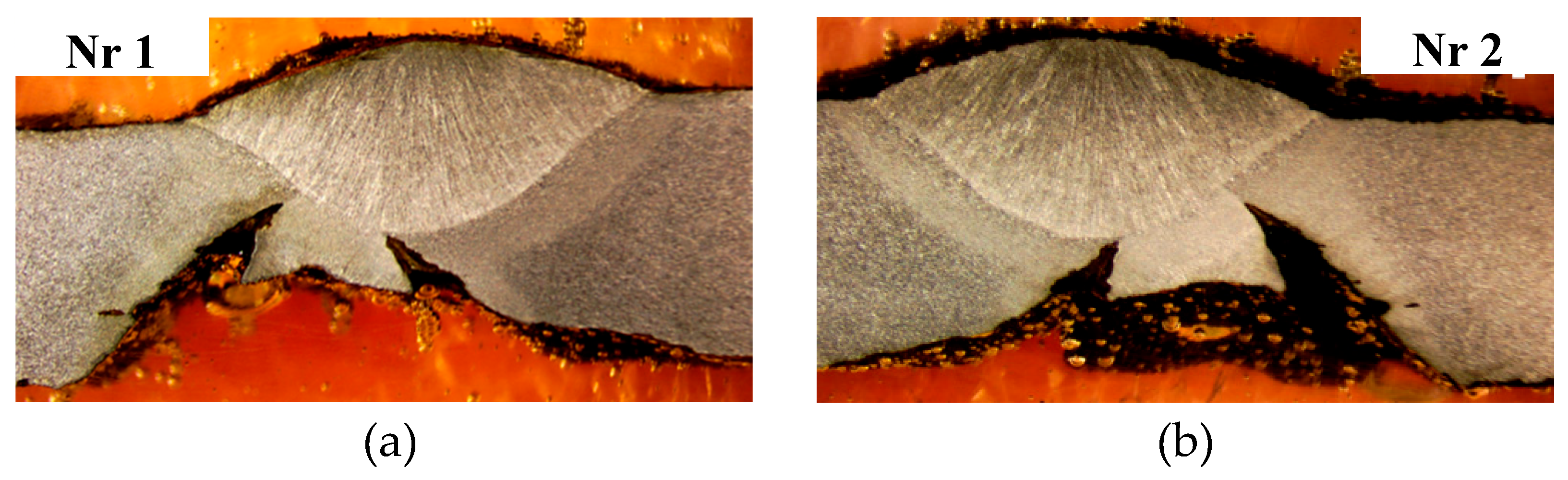 Preprints 141514 g012a