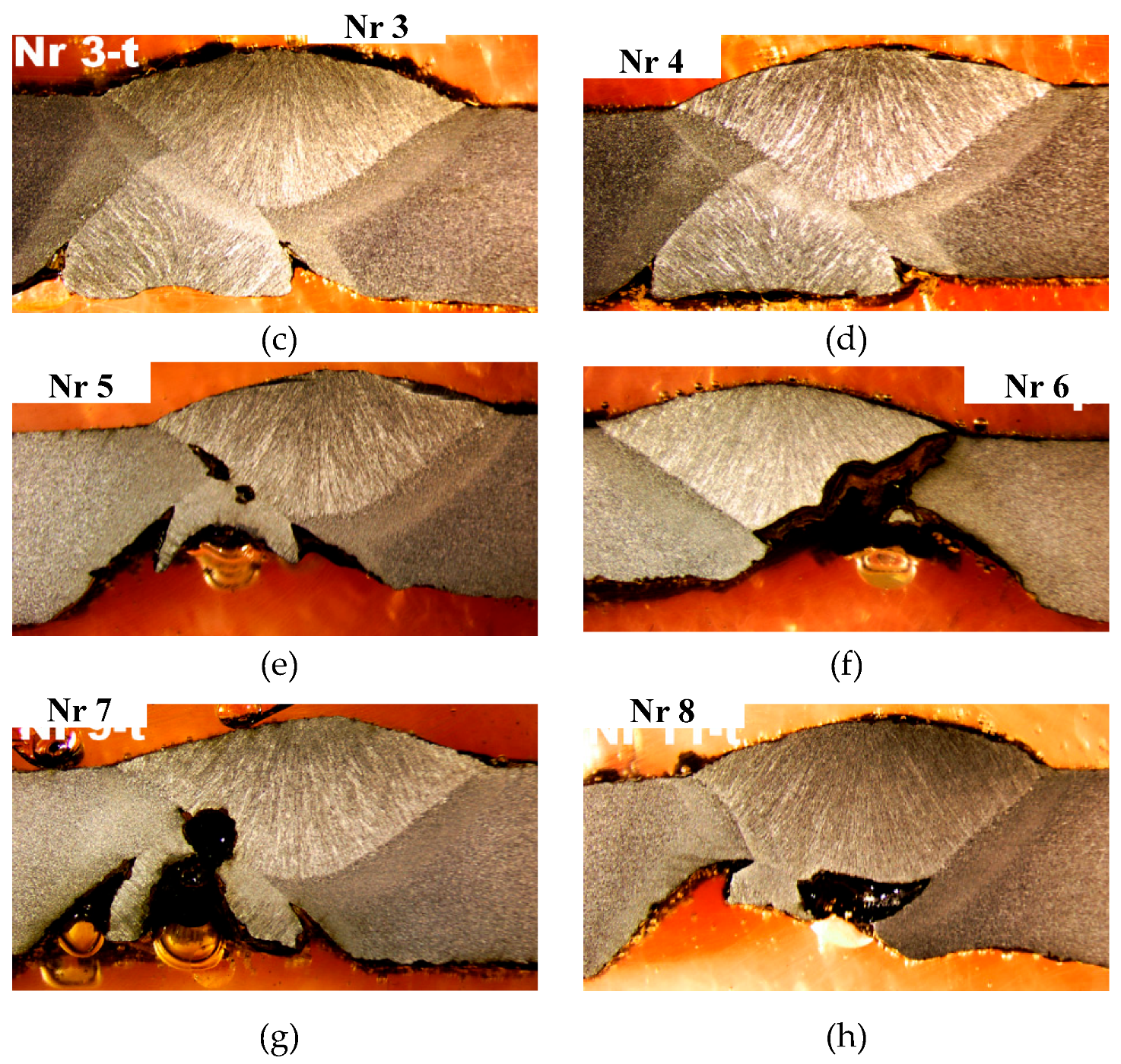 Preprints 141514 g012b
