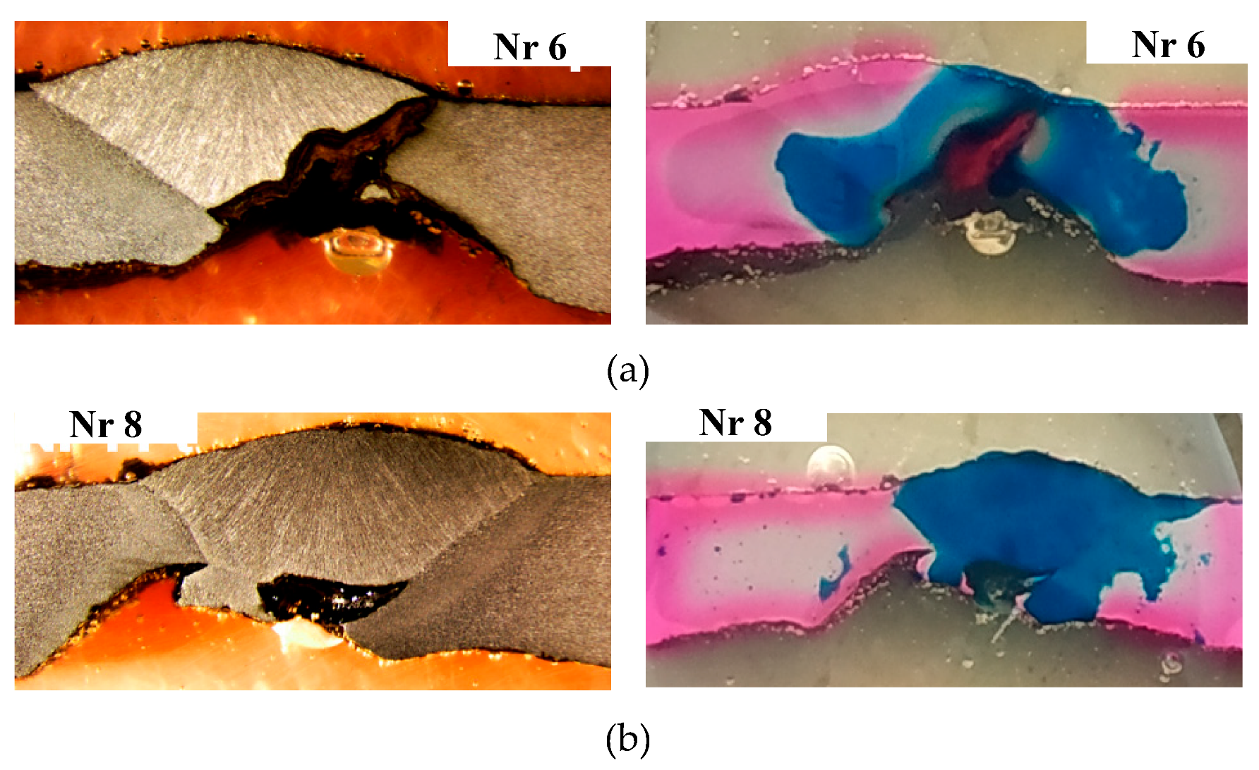 Preprints 141514 g013