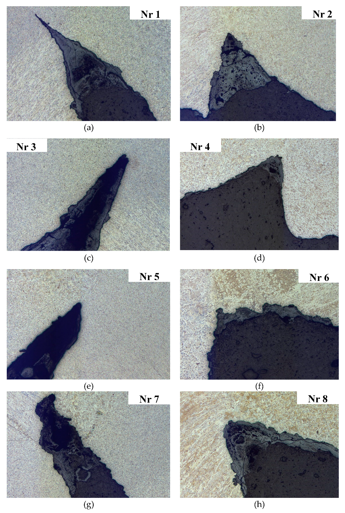 Preprints 141514 g017