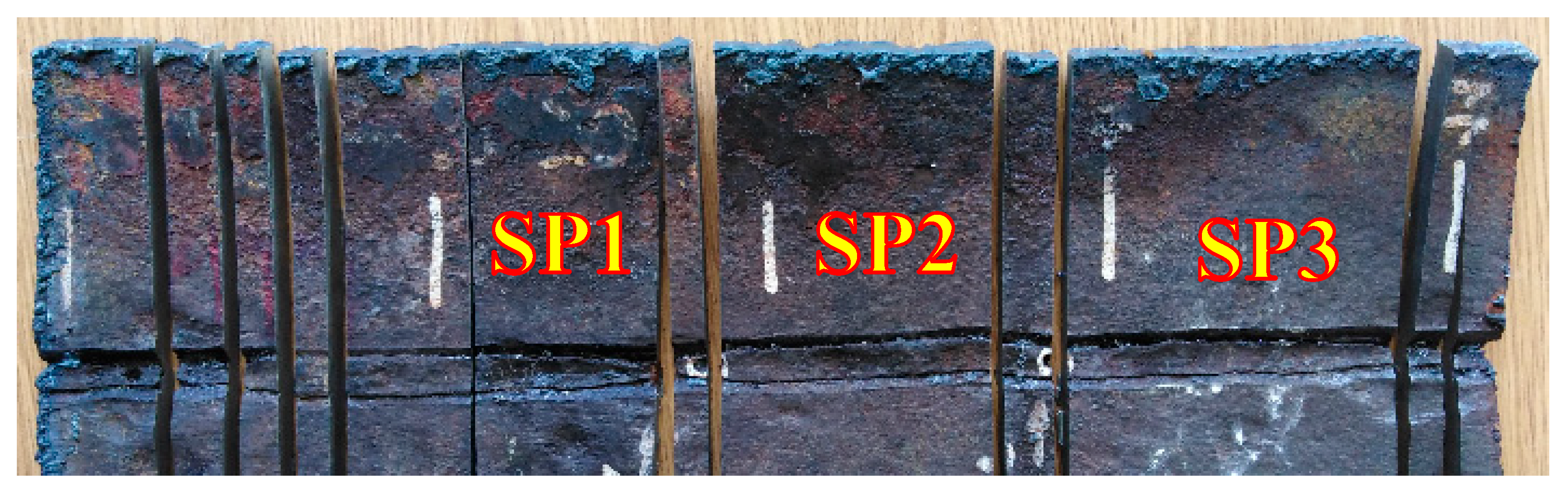 Preprints 141514 g018