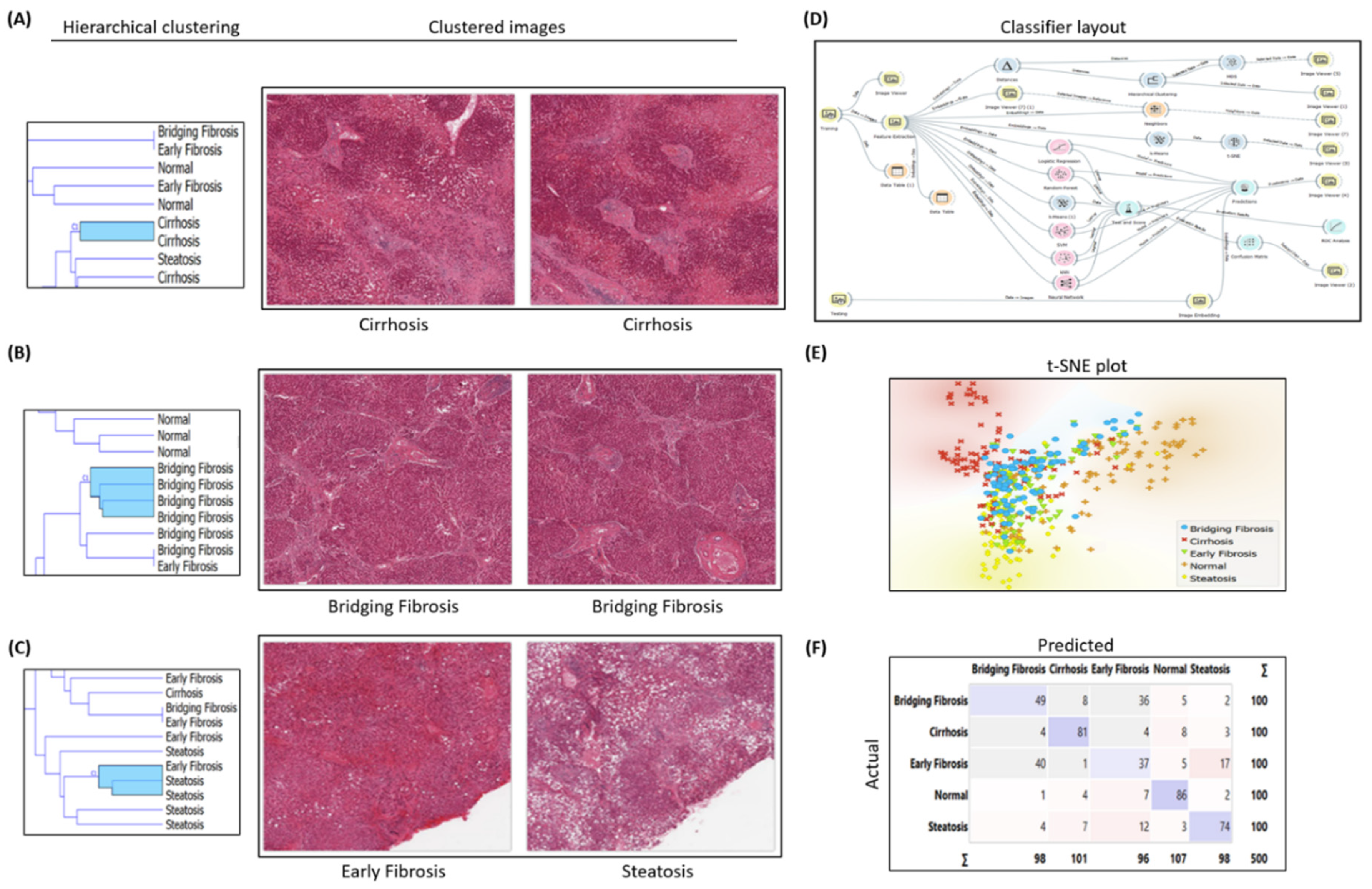 Preprints 95355 g001