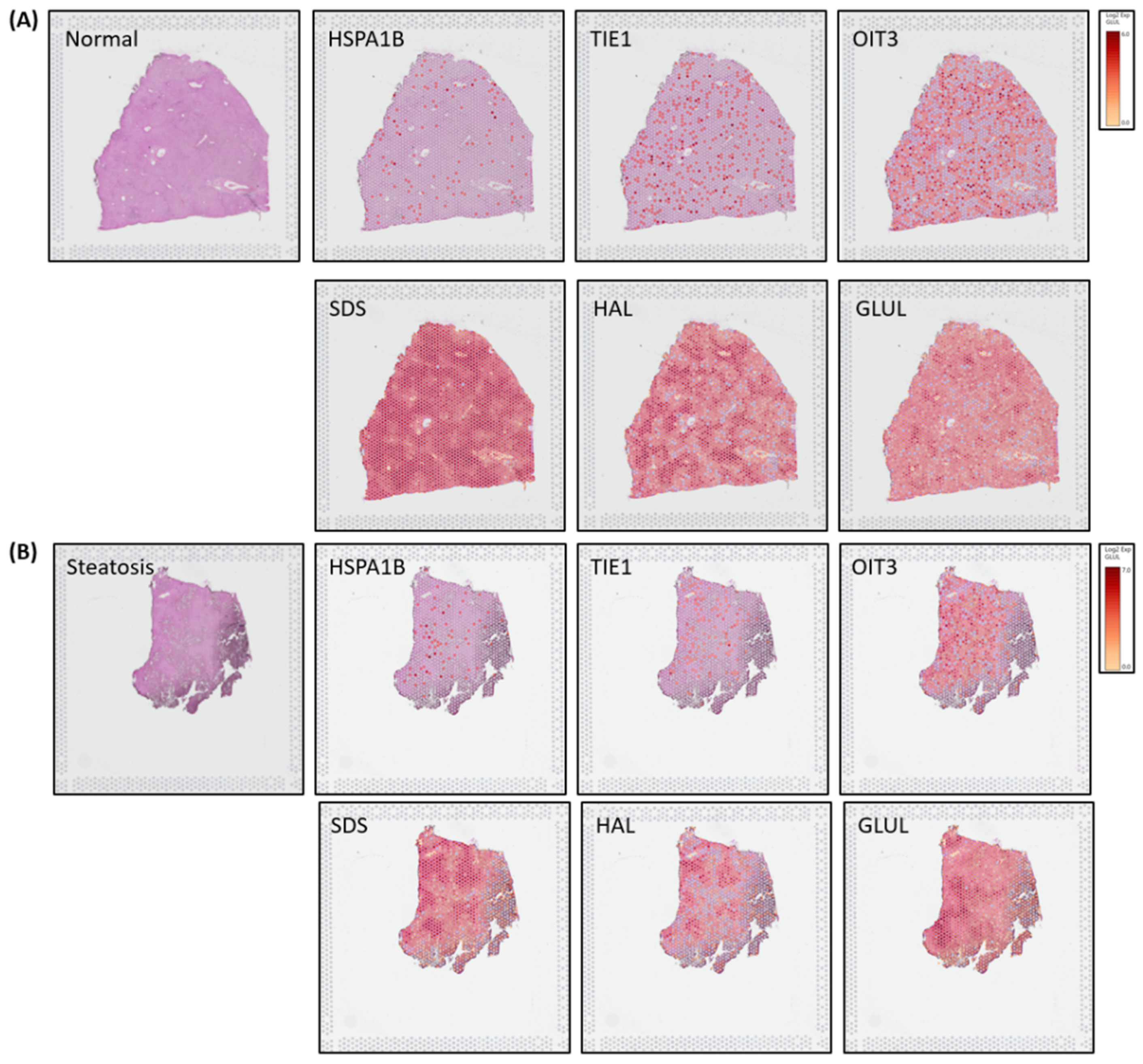 Preprints 95355 g004