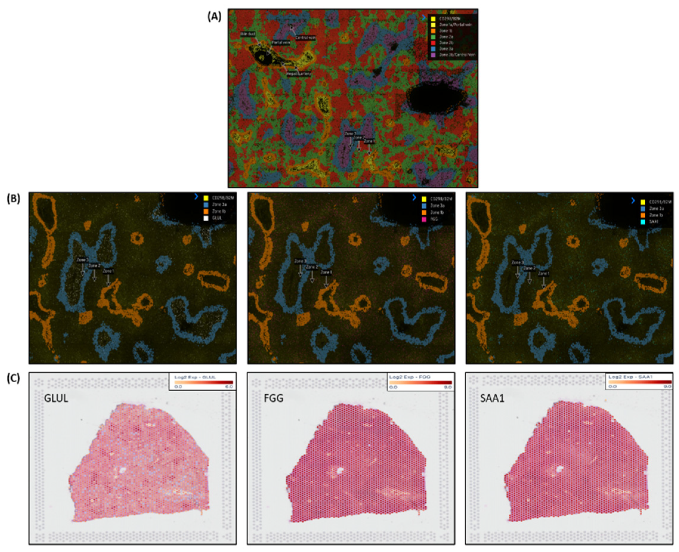 Preprints 95355 g005