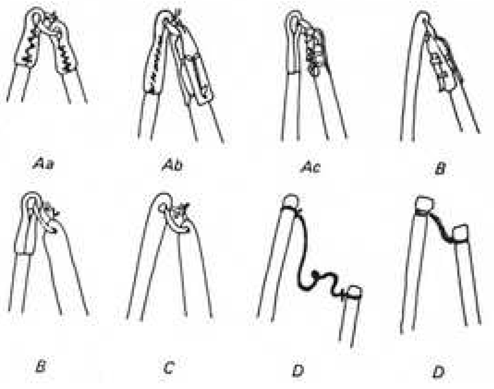 Preprints 88843 g004
