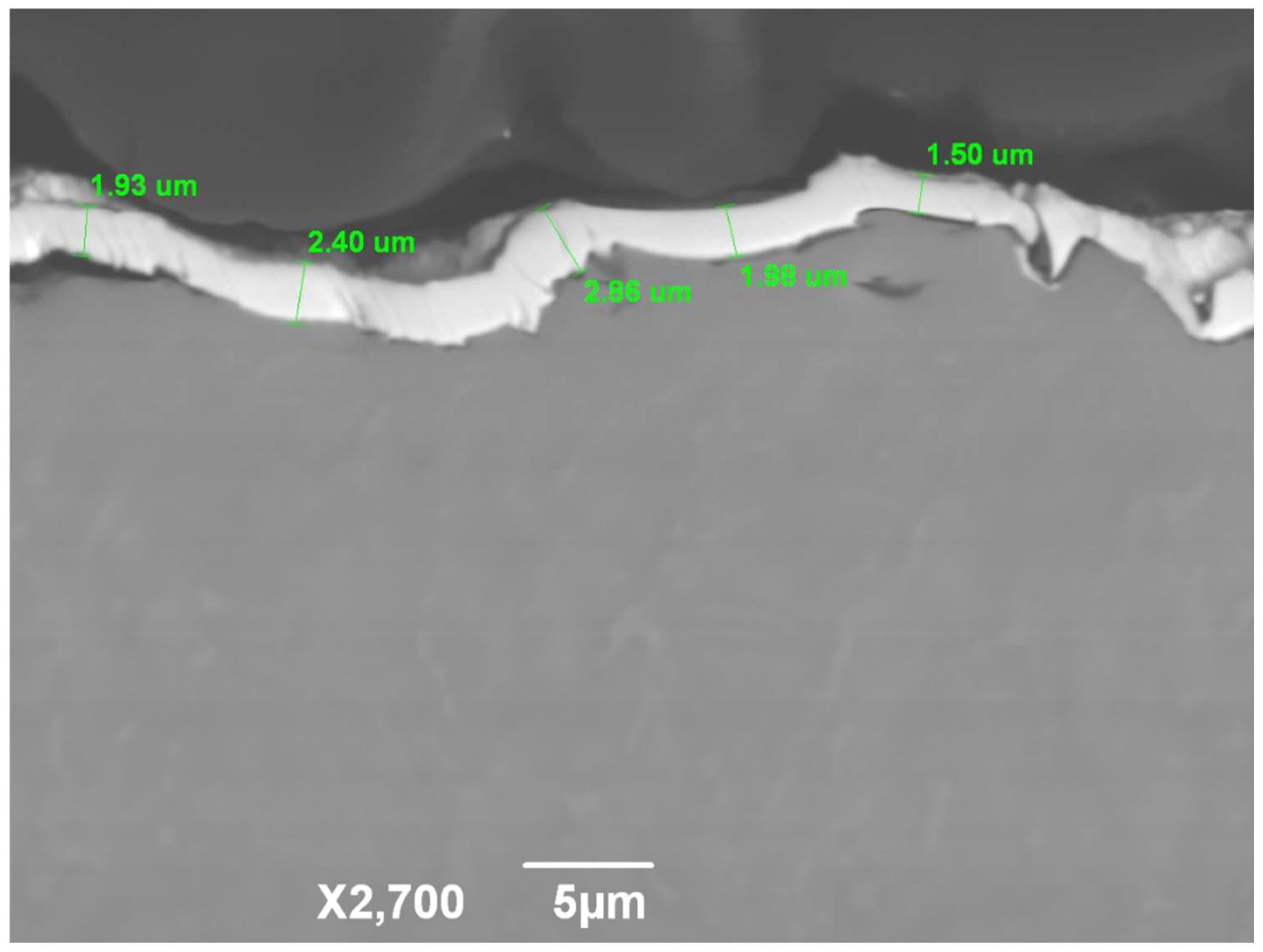 Preprints 141657 g002