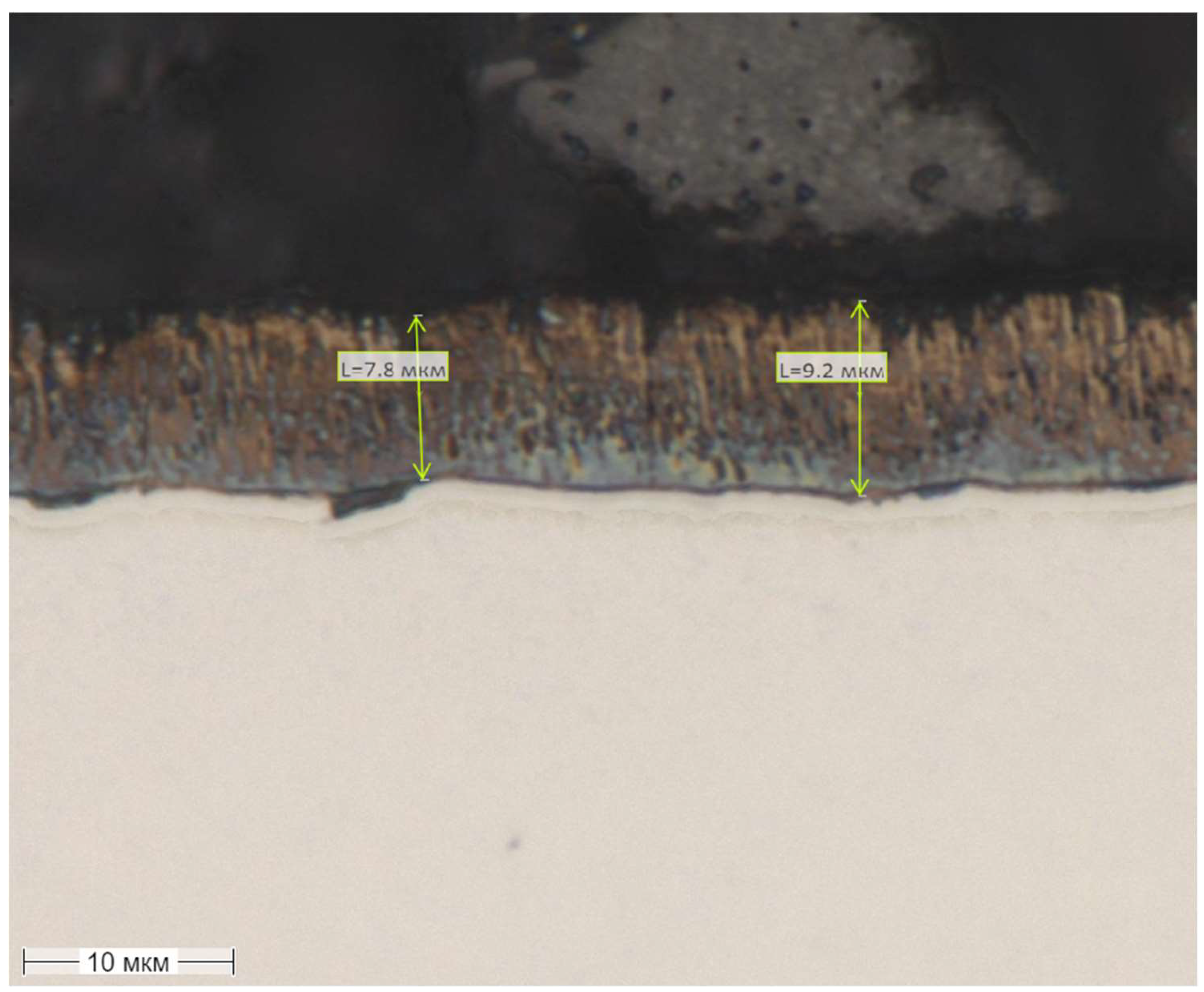 Preprints 141657 g012
