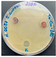 Preprints 141657 i001