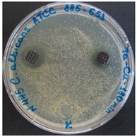 Preprints 141657 i002