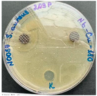 Preprints 141657 i003