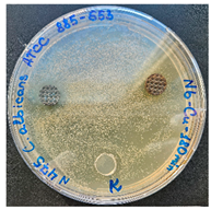 Preprints 141657 i004