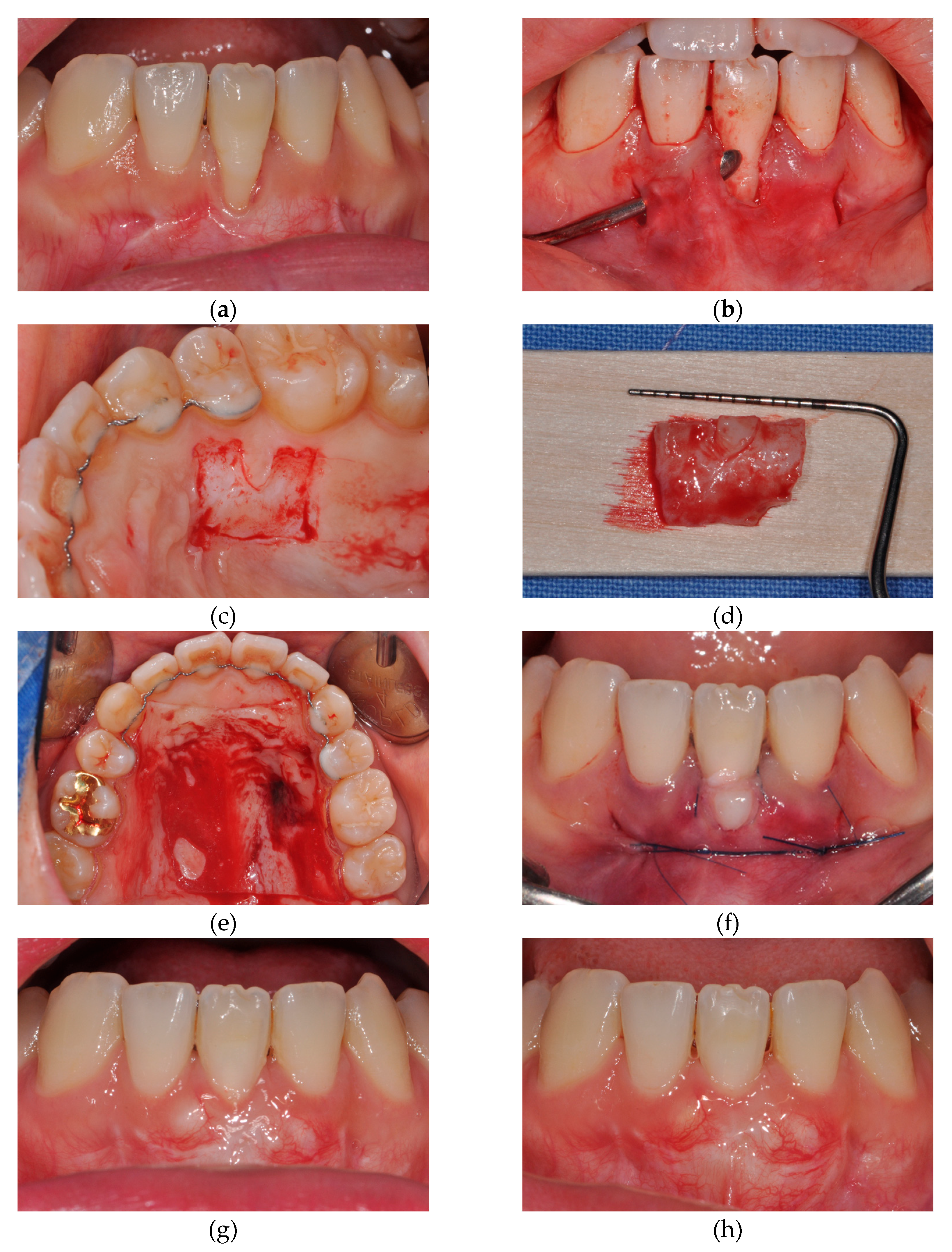 Preprints 144521 g002