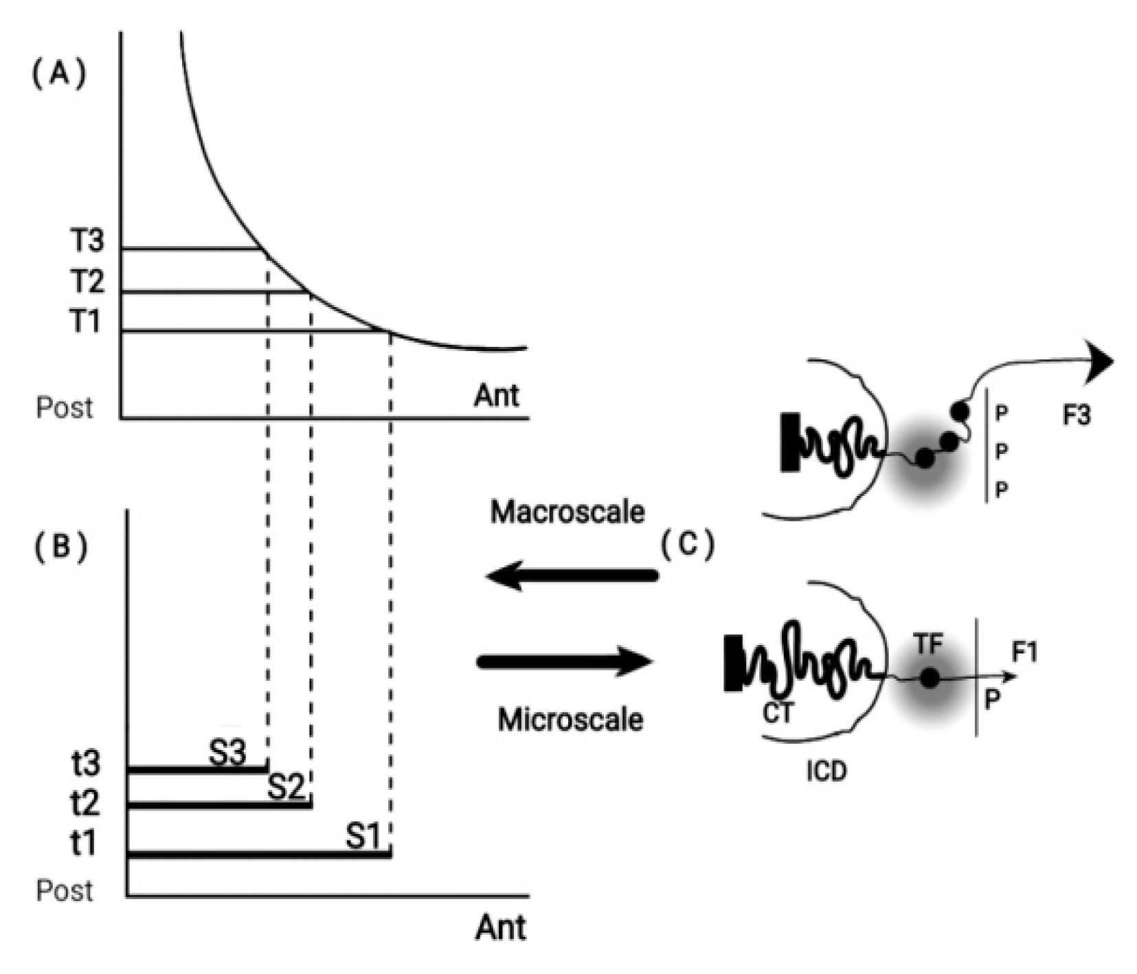 Preprints 73026 g001
