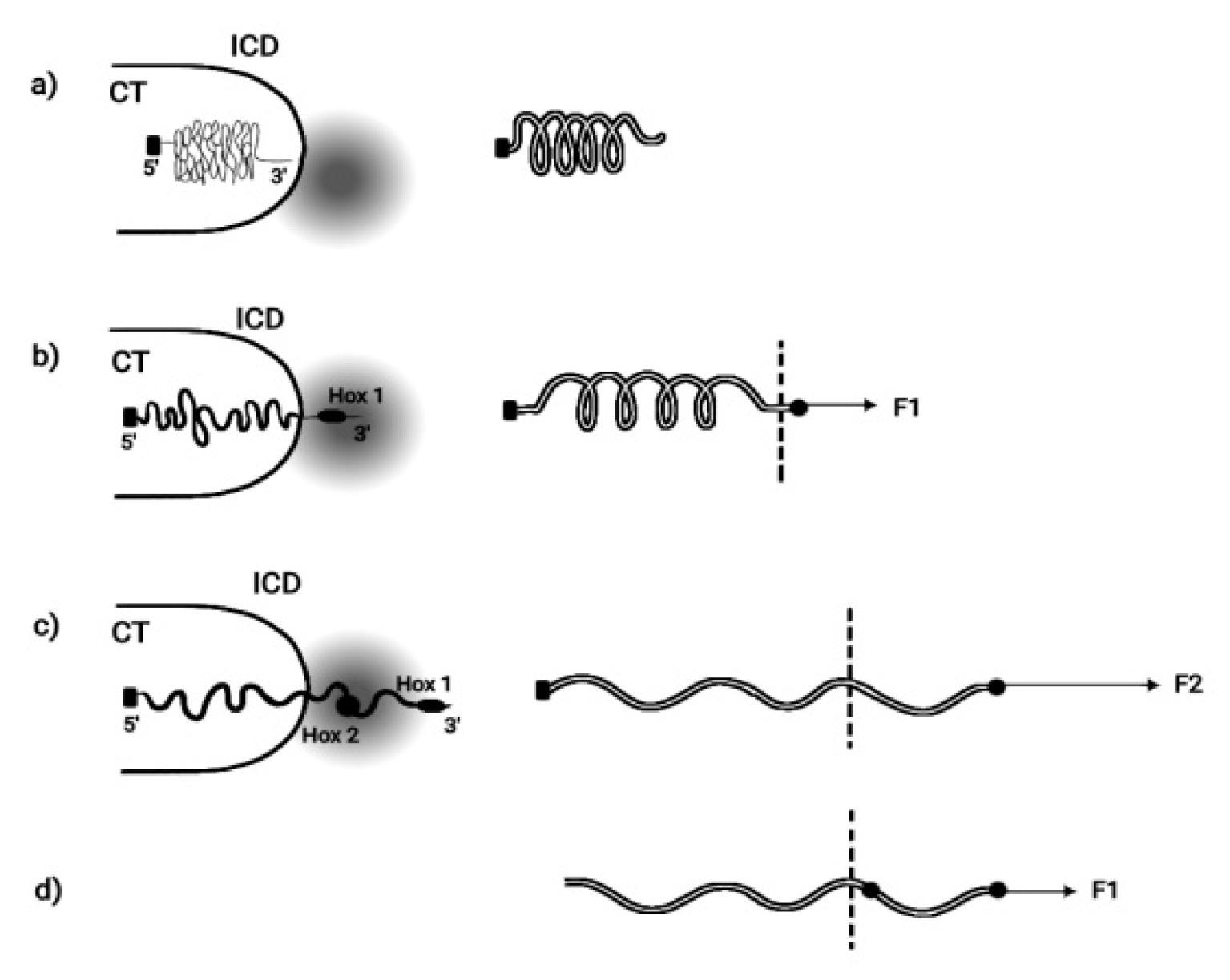 Preprints 73026 g002
