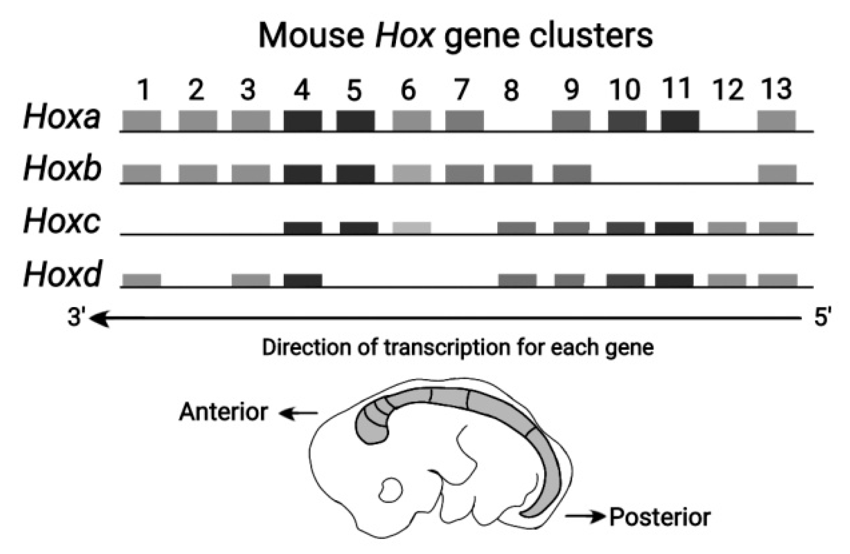 Preprints 73026 g003