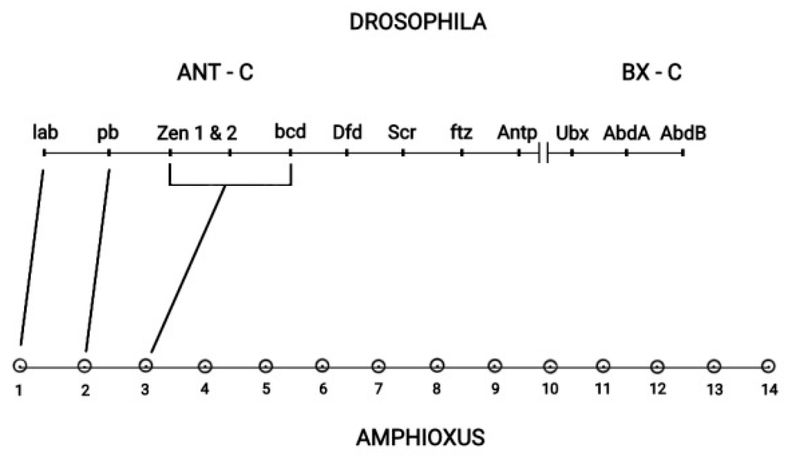 Preprints 73026 g008