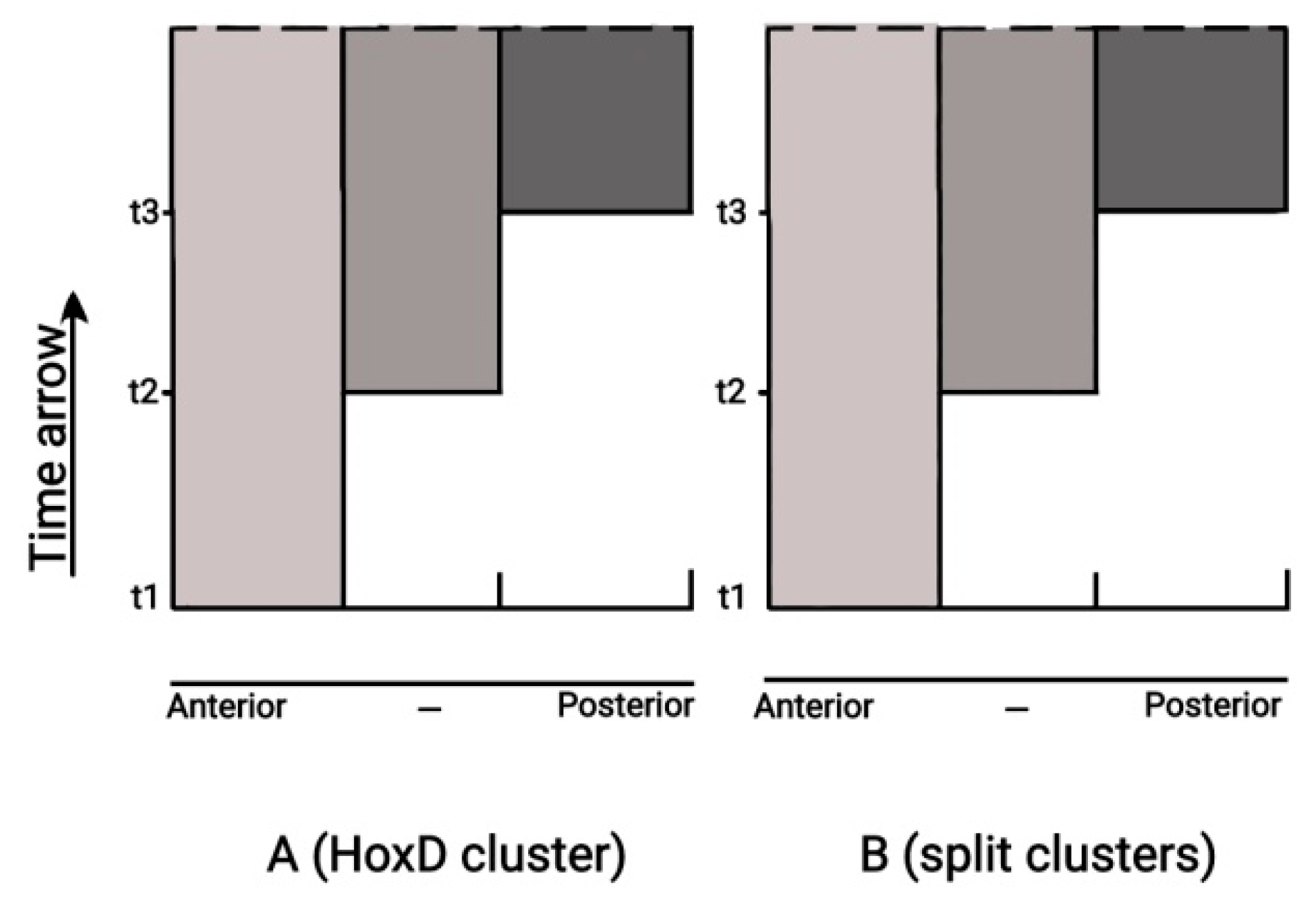 Preprints 73026 g009