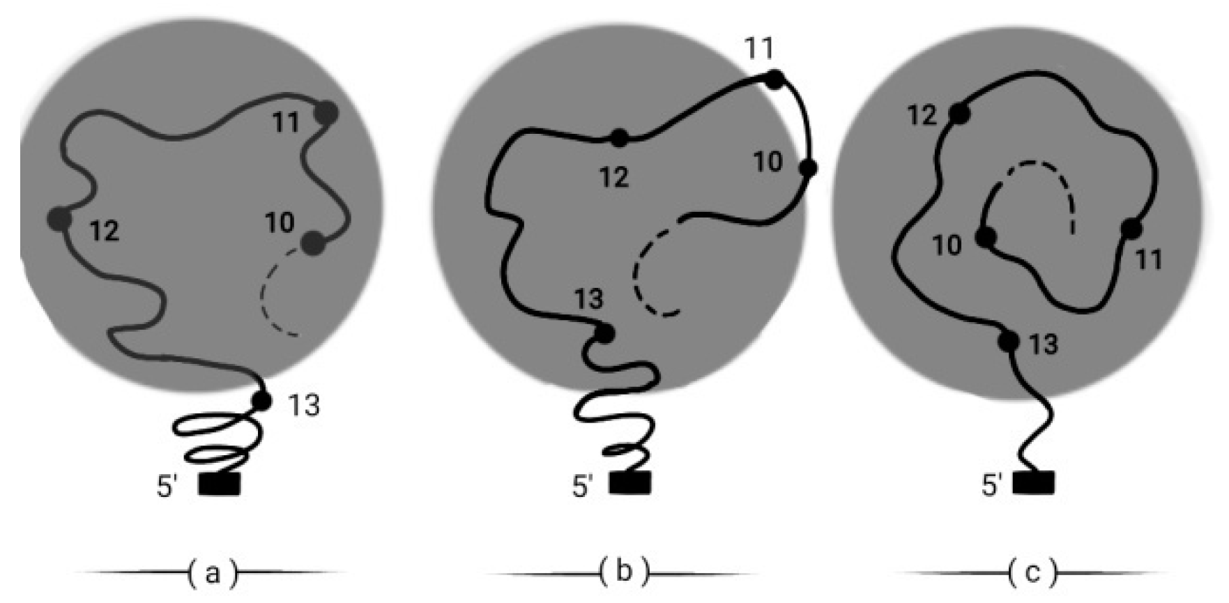 Preprints 73026 g010