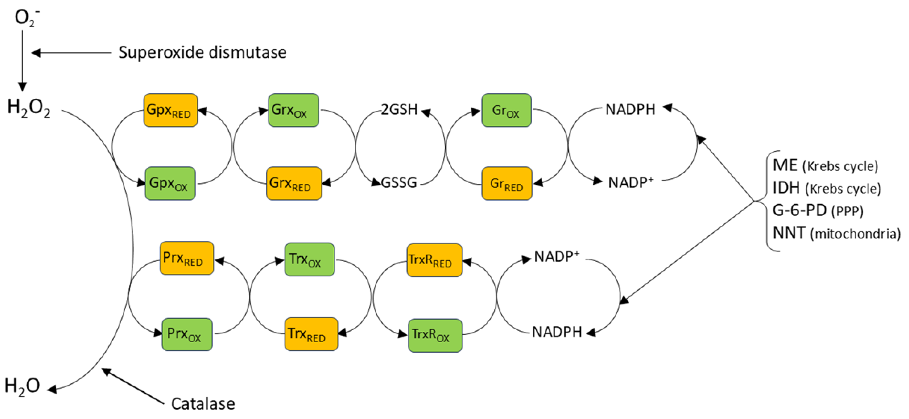 Preprints 191451 g002