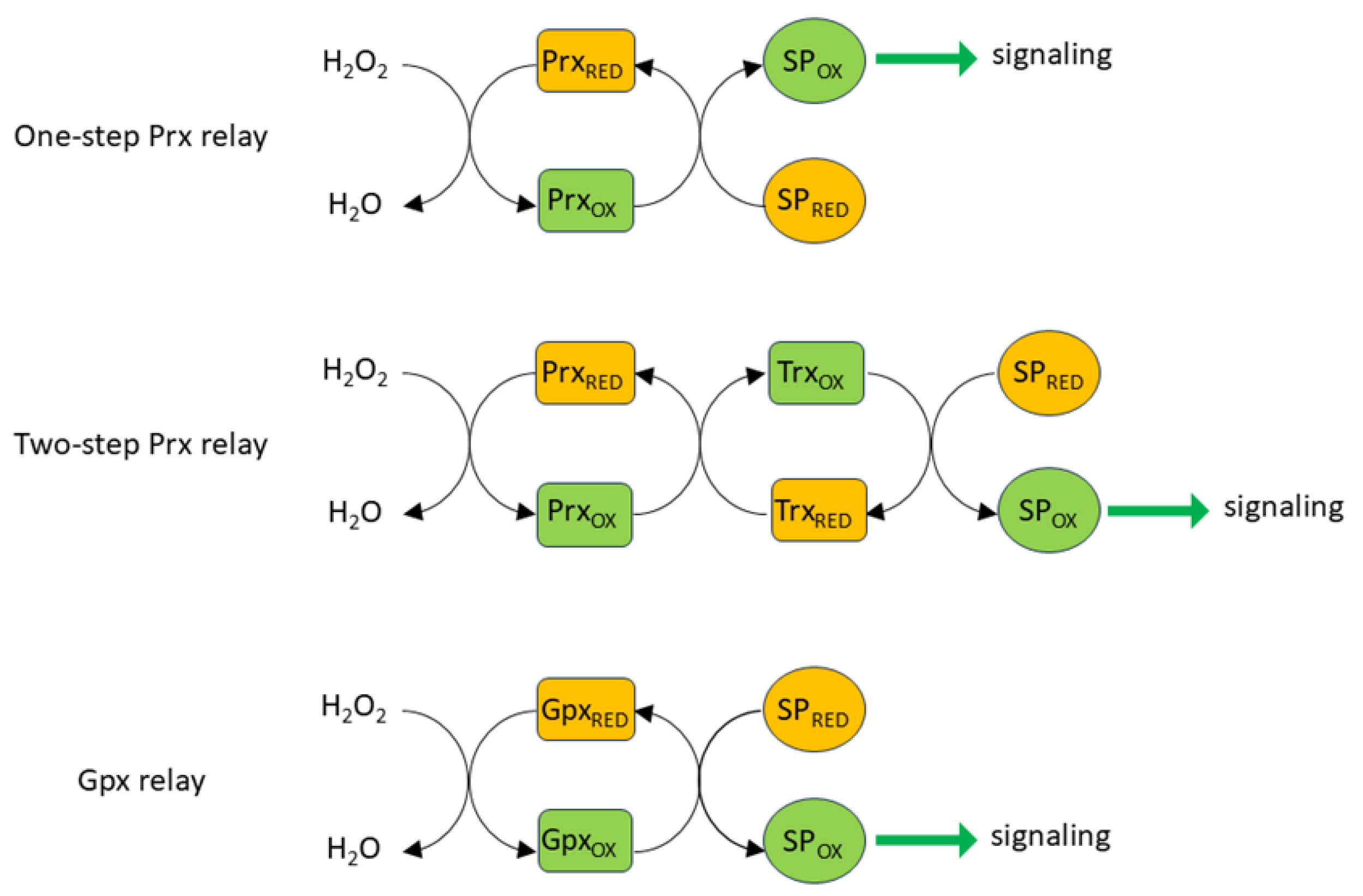 Preprints 191451 g003
