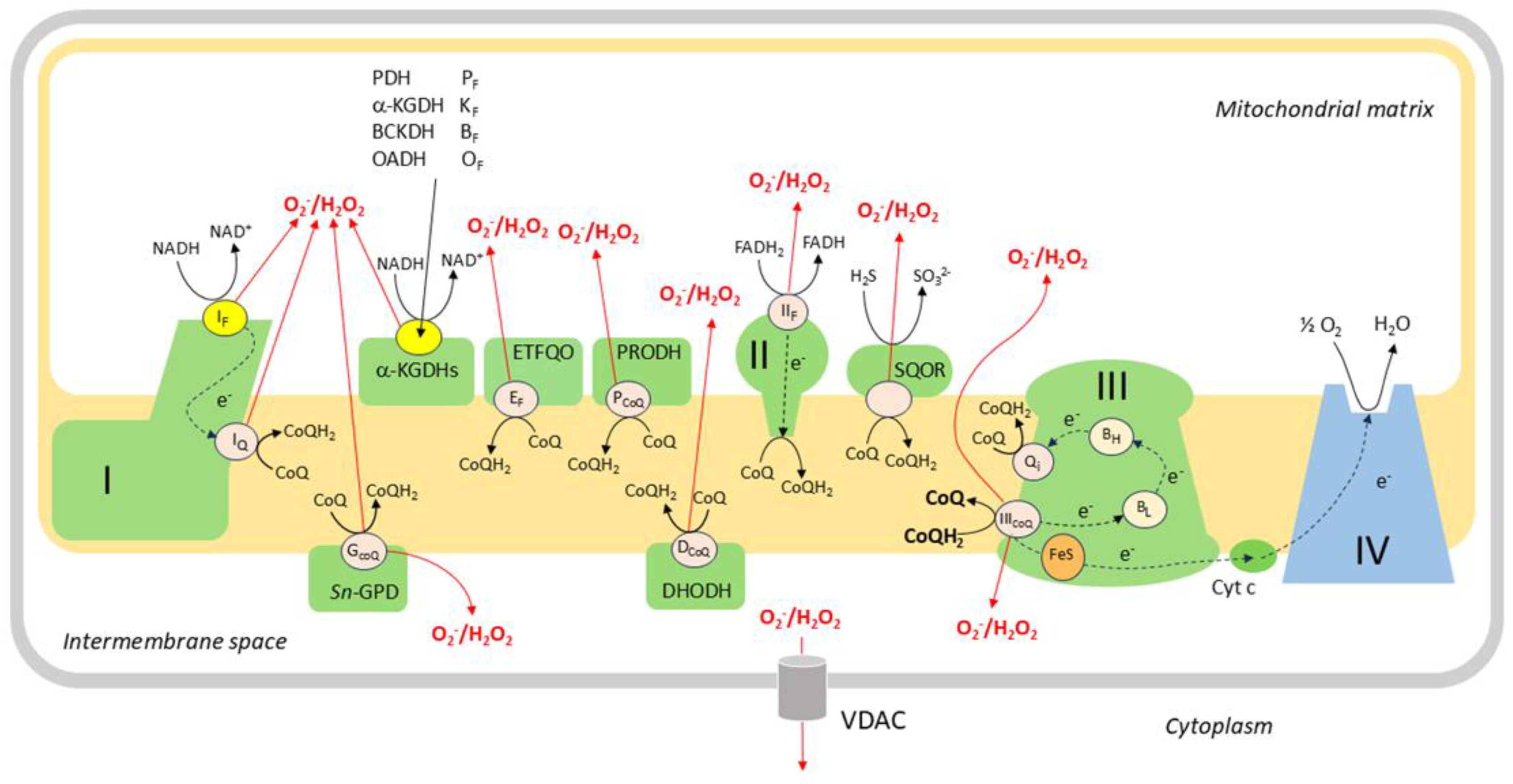 Preprints 191451 g005