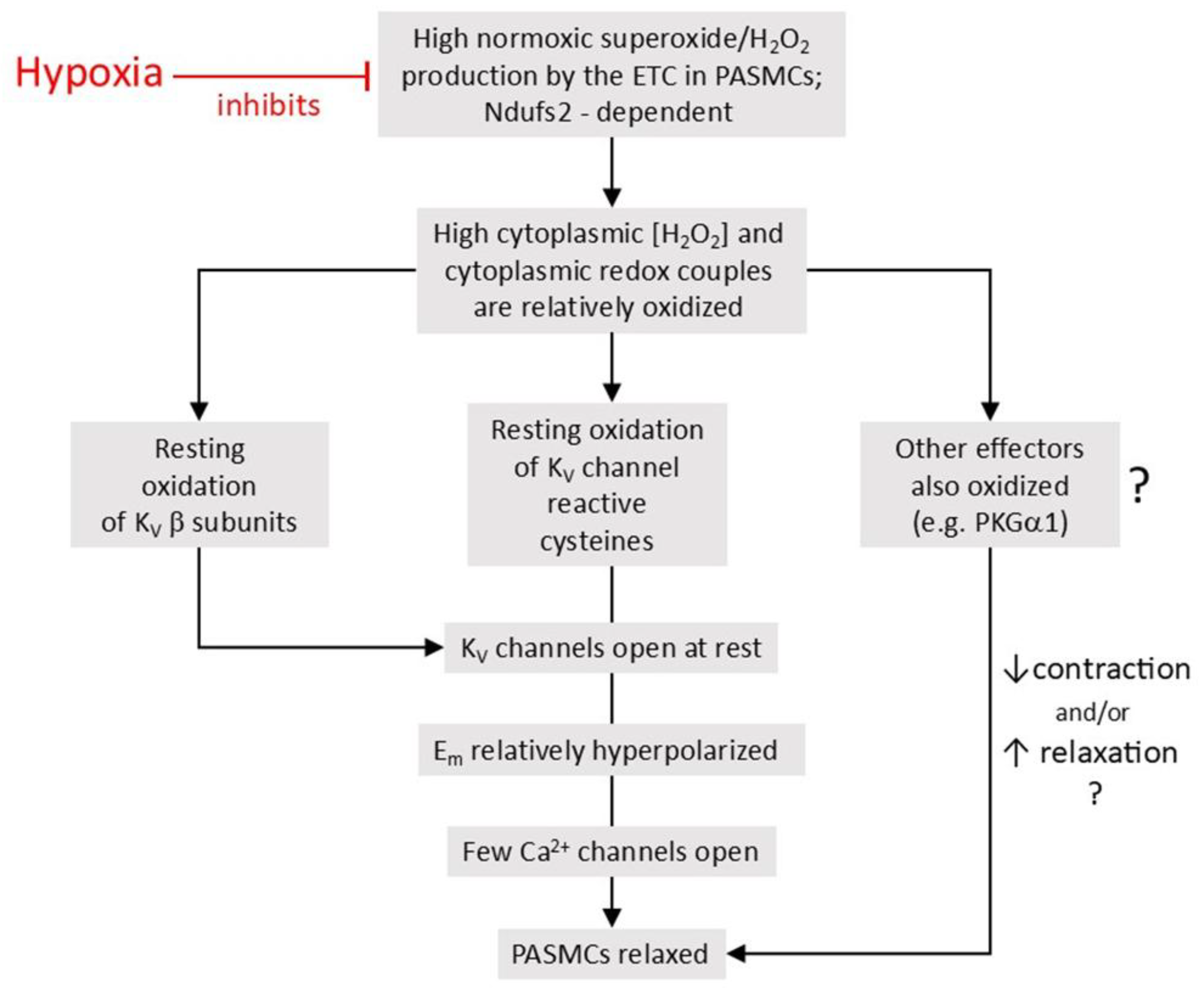 Preprints 191451 g006
