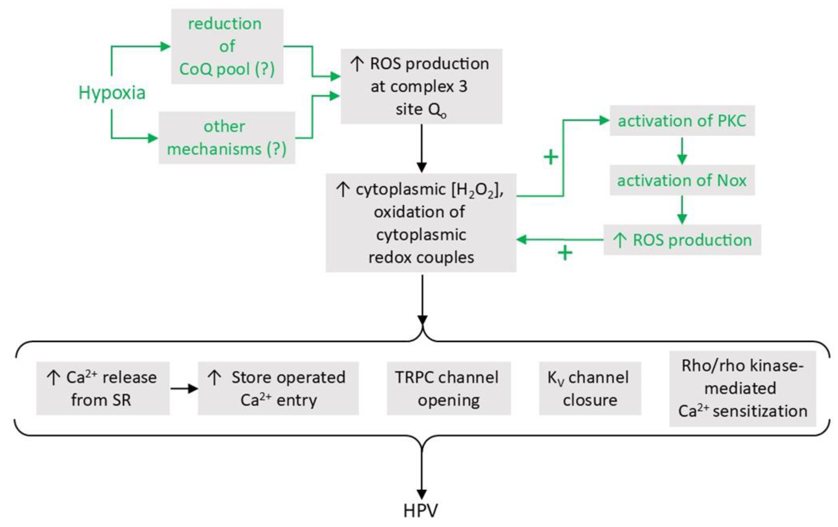 Preprints 191451 g007