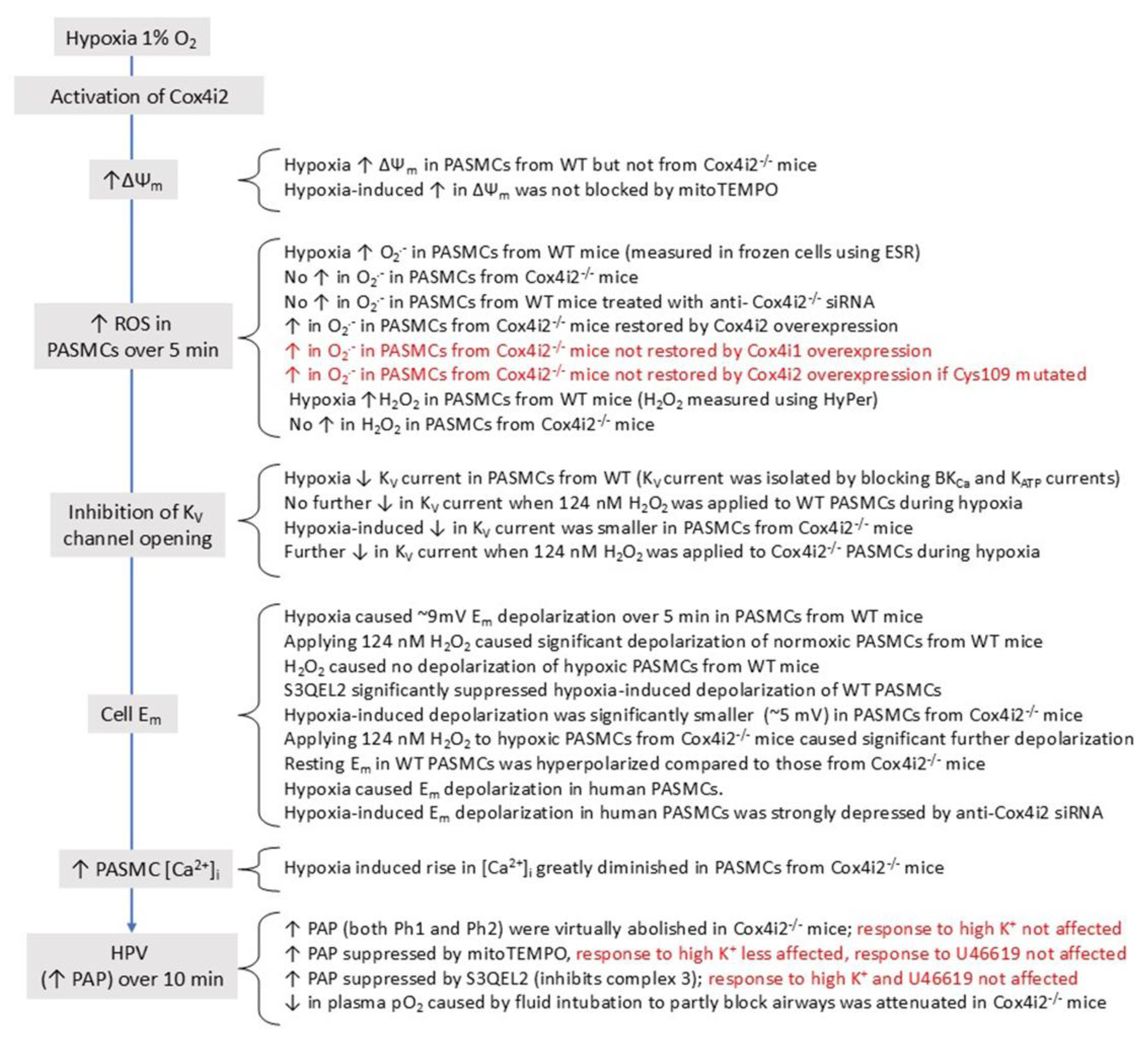 Preprints 191451 g008