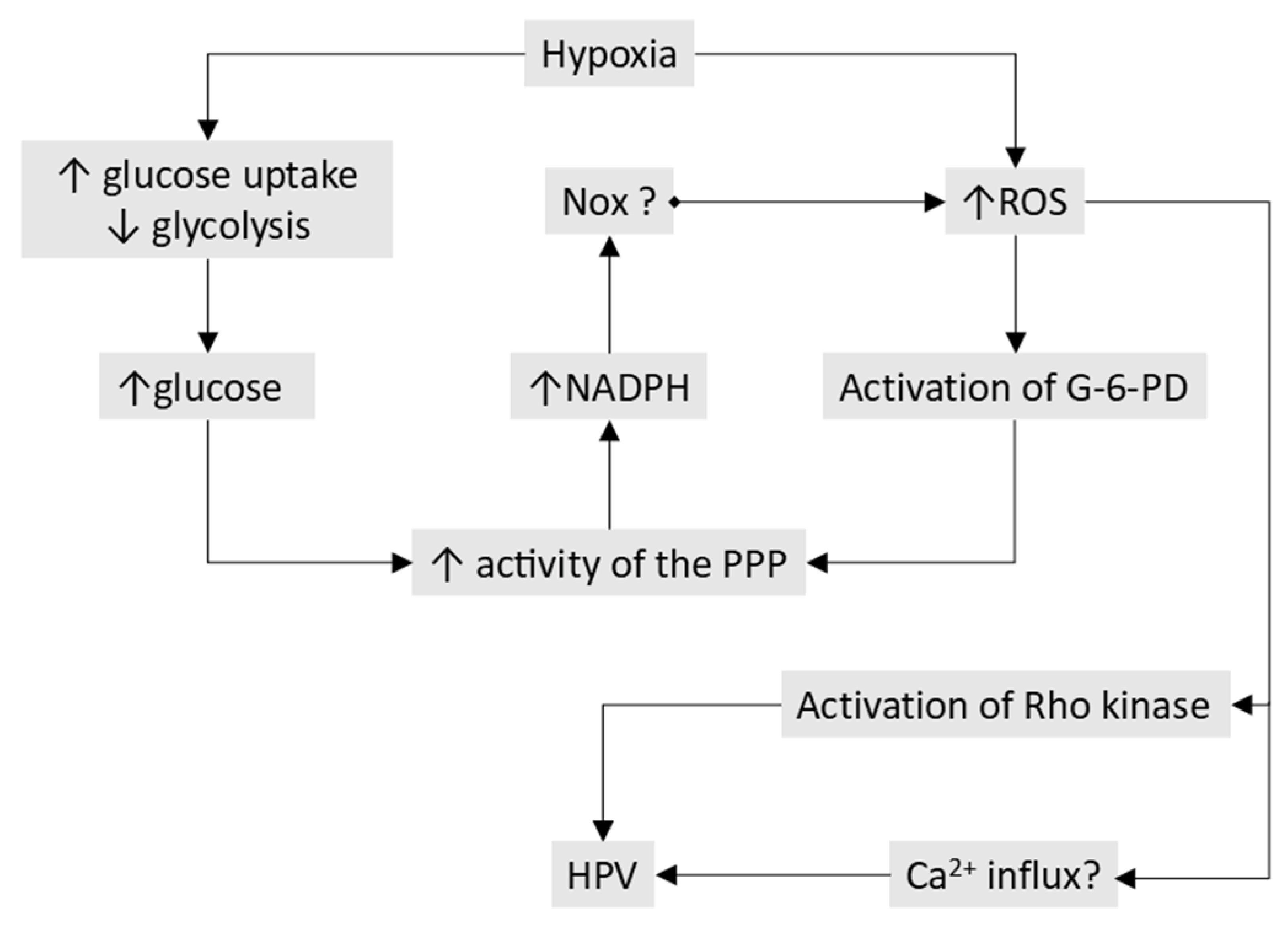 Preprints 191451 g009