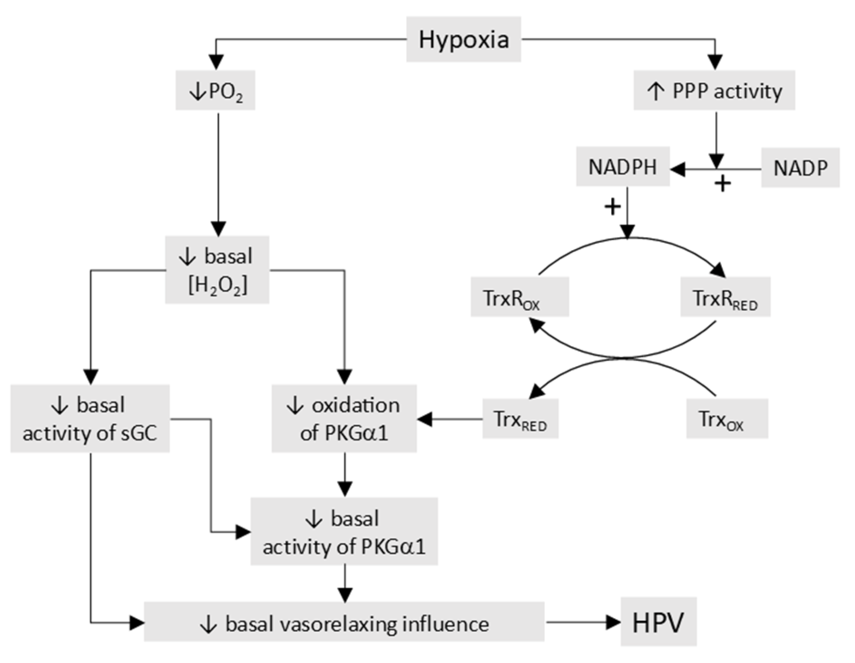 Preprints 191451 g010