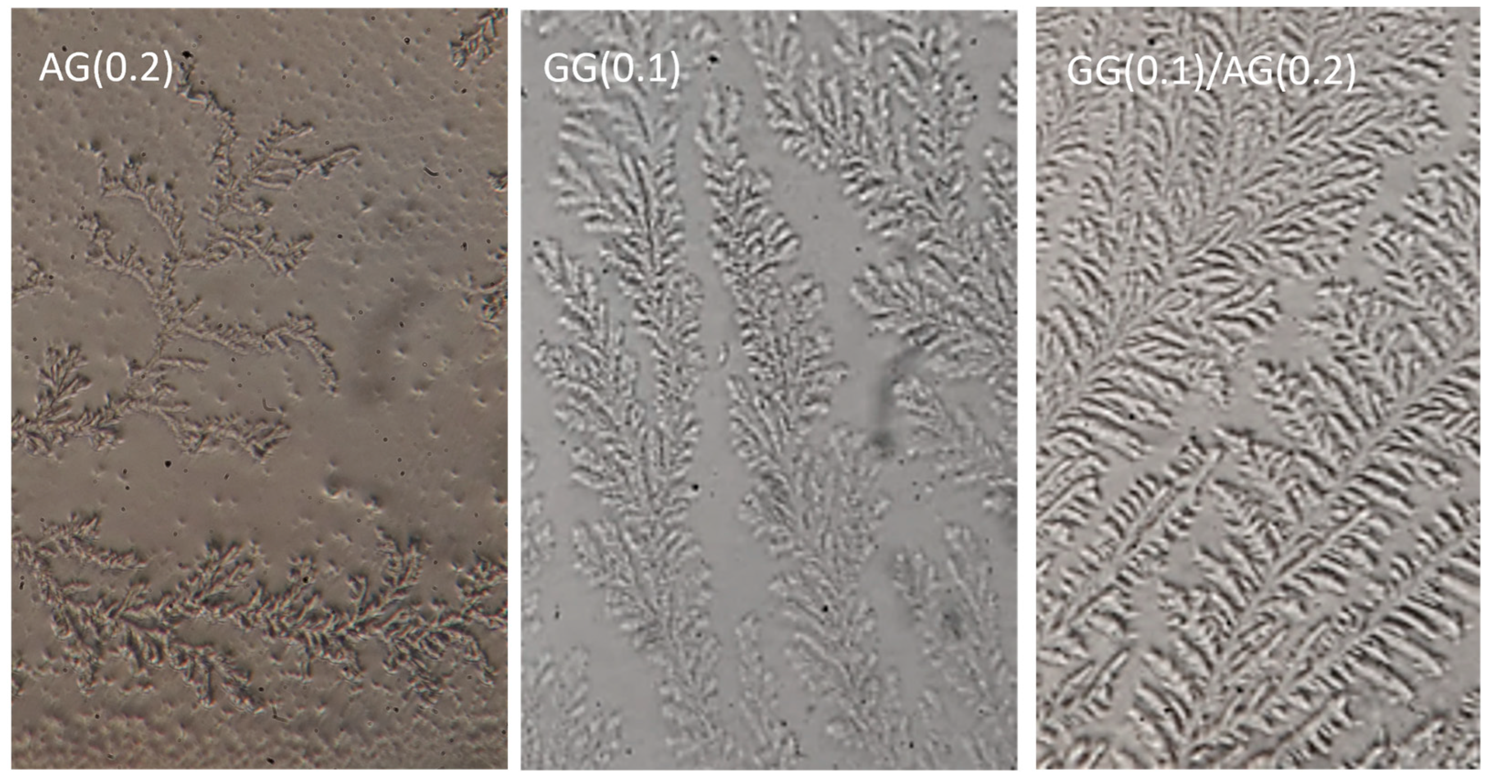 Preprints 172435 g006