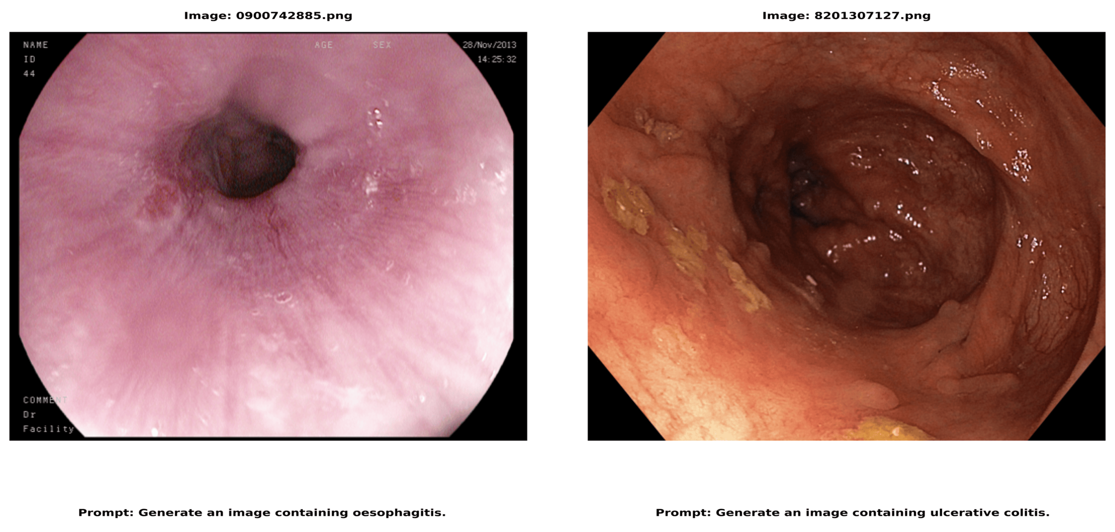 Preprints 145017 g004