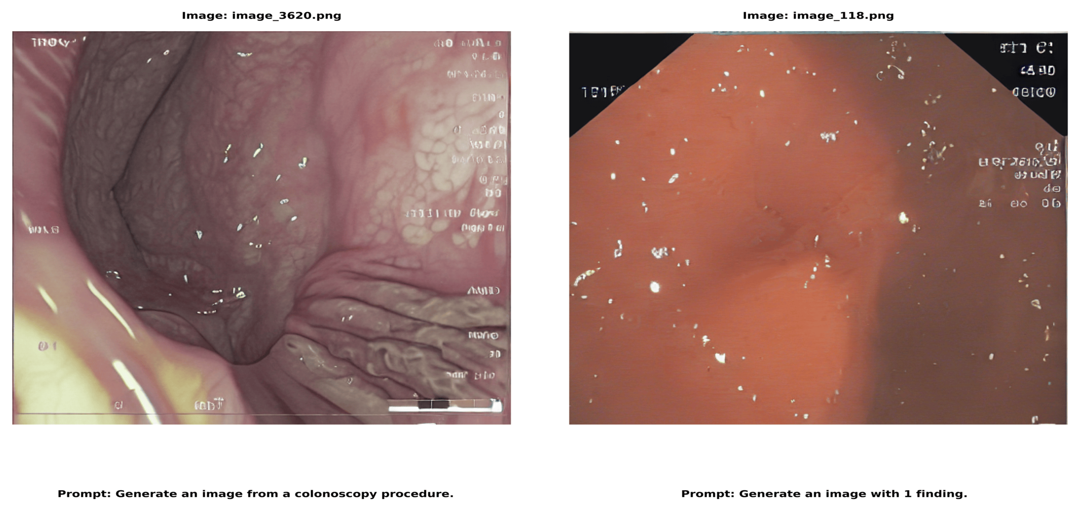 Preprints 145017 g005