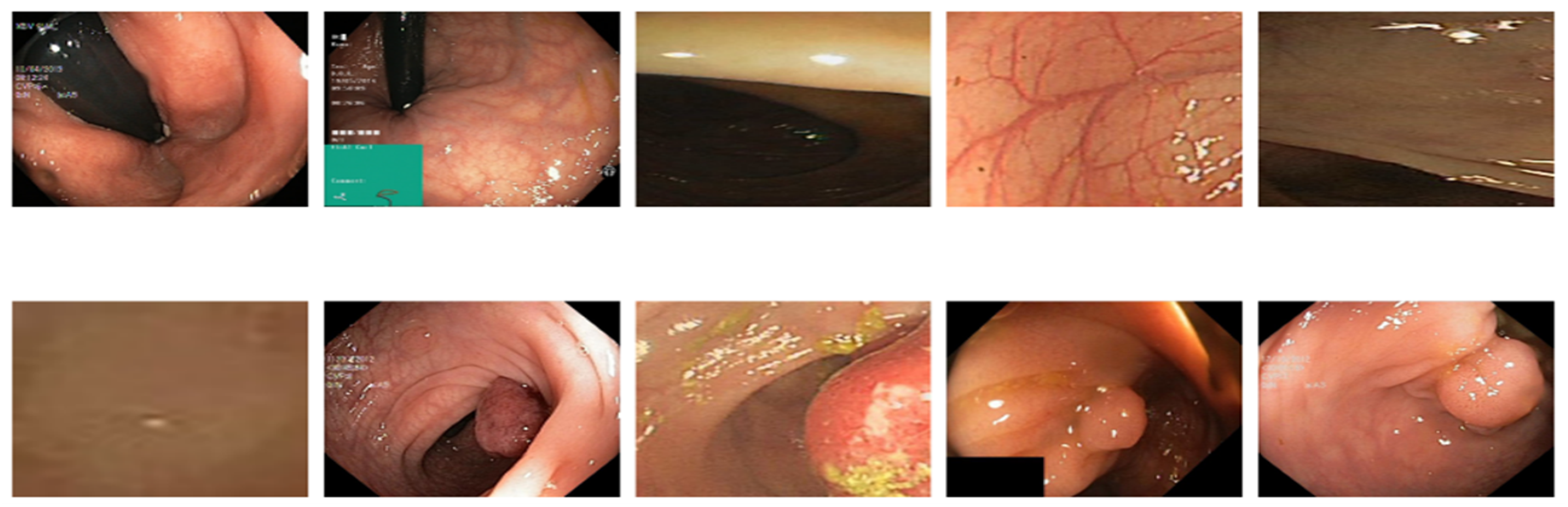Preprints 145017 g011