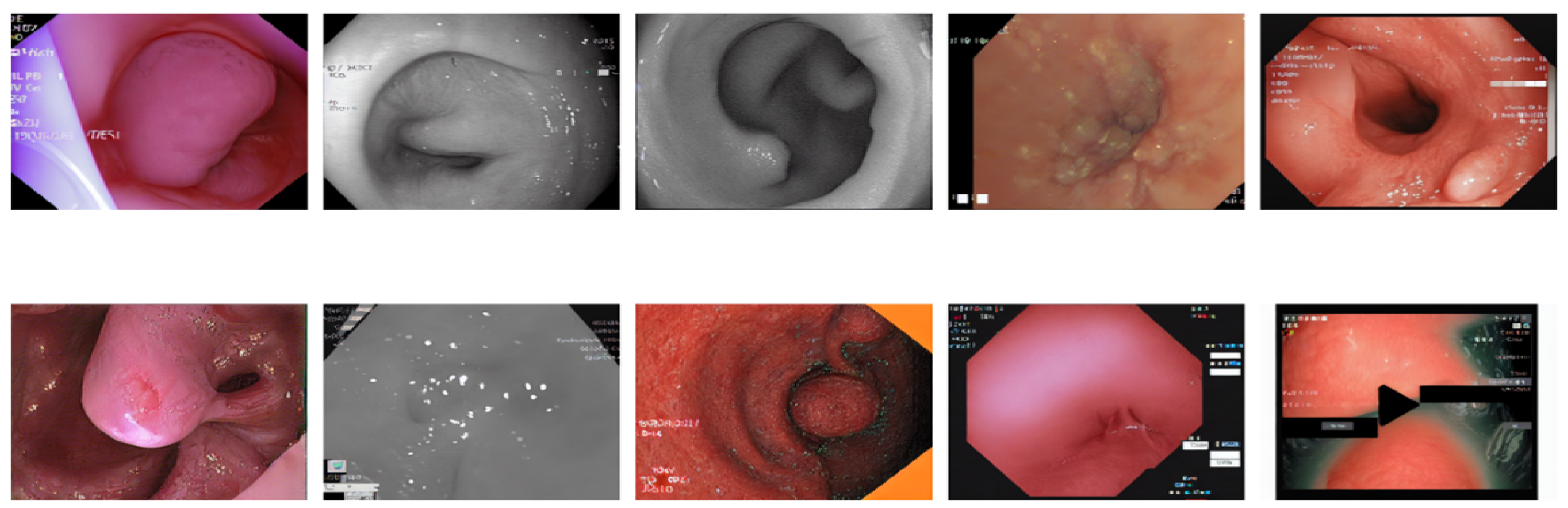 Preprints 145017 g013