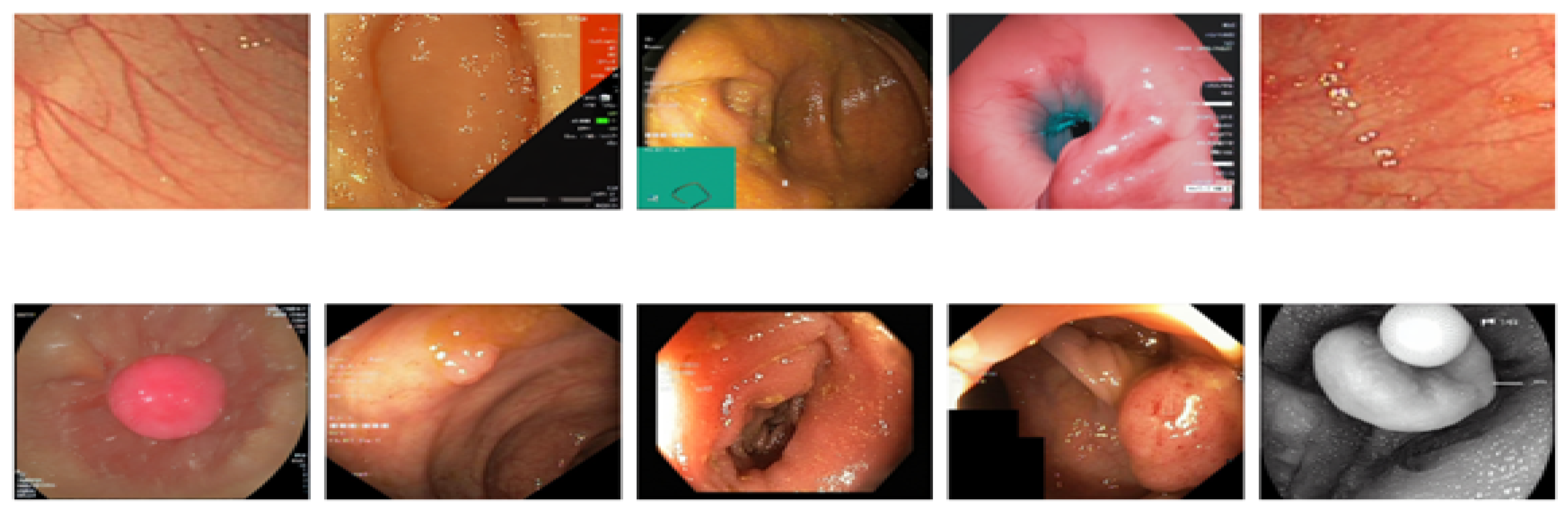 Preprints 145017 g015